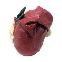 Vintage Midwest Importers Santa Head Figure