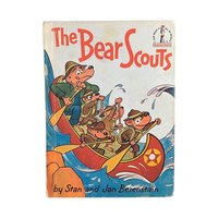 1960s Berenstain Bears Early Learning Hardcover Book Set – Vintage Children's Books