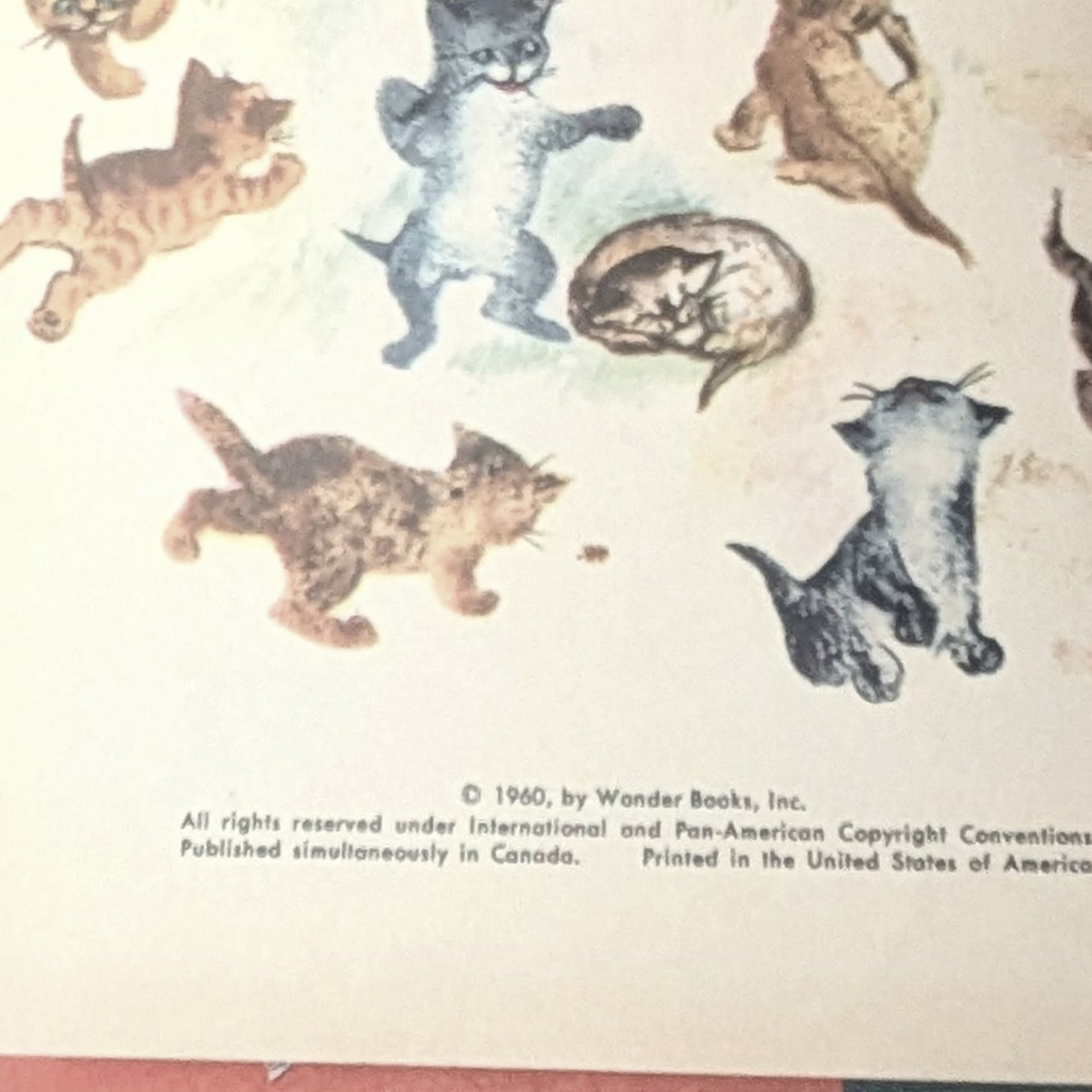 1960 My First Book of Riddles by Janet and Alex DAmato