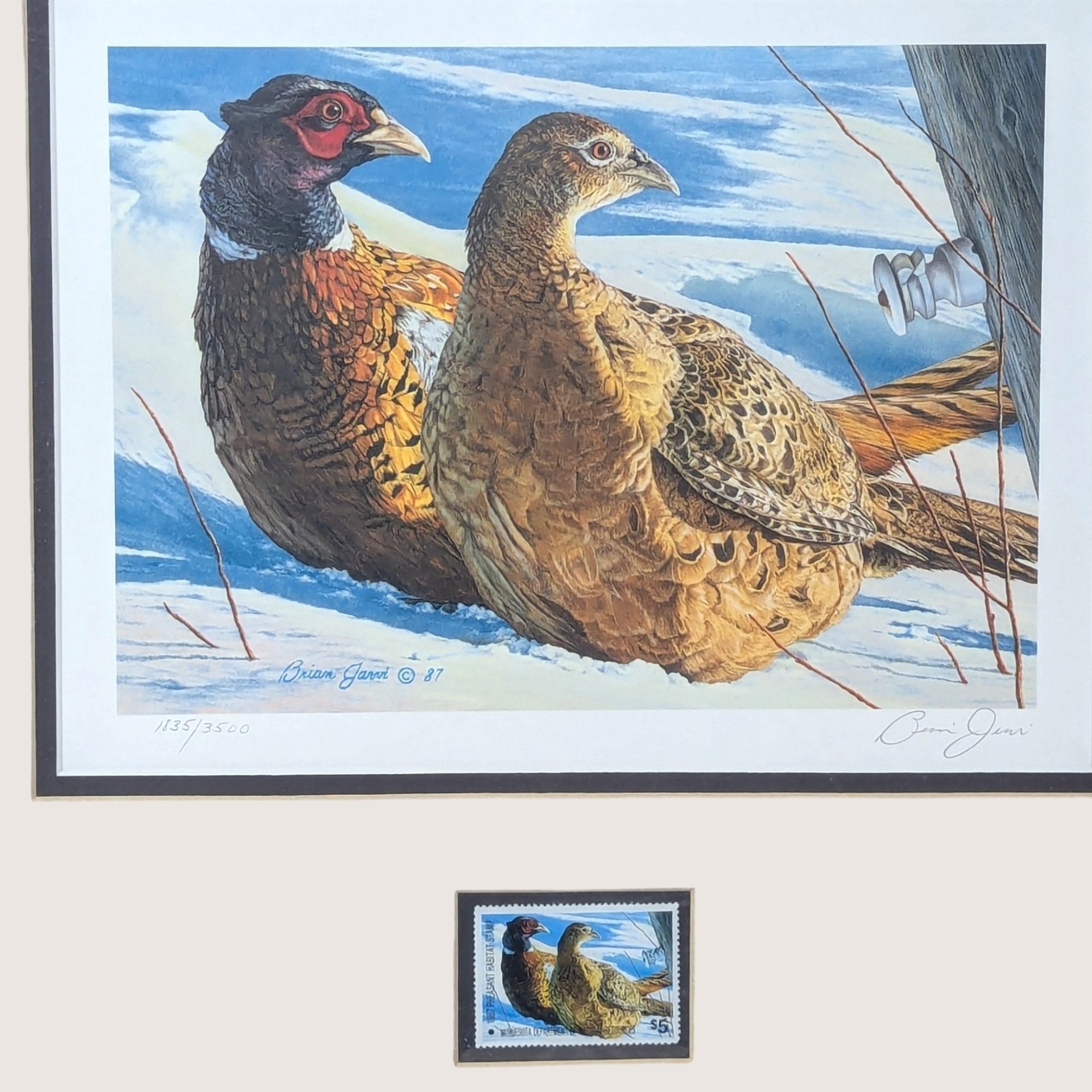 1987 Minnesota Pheasant Habitat Stamp Print by Brian Jarvi
