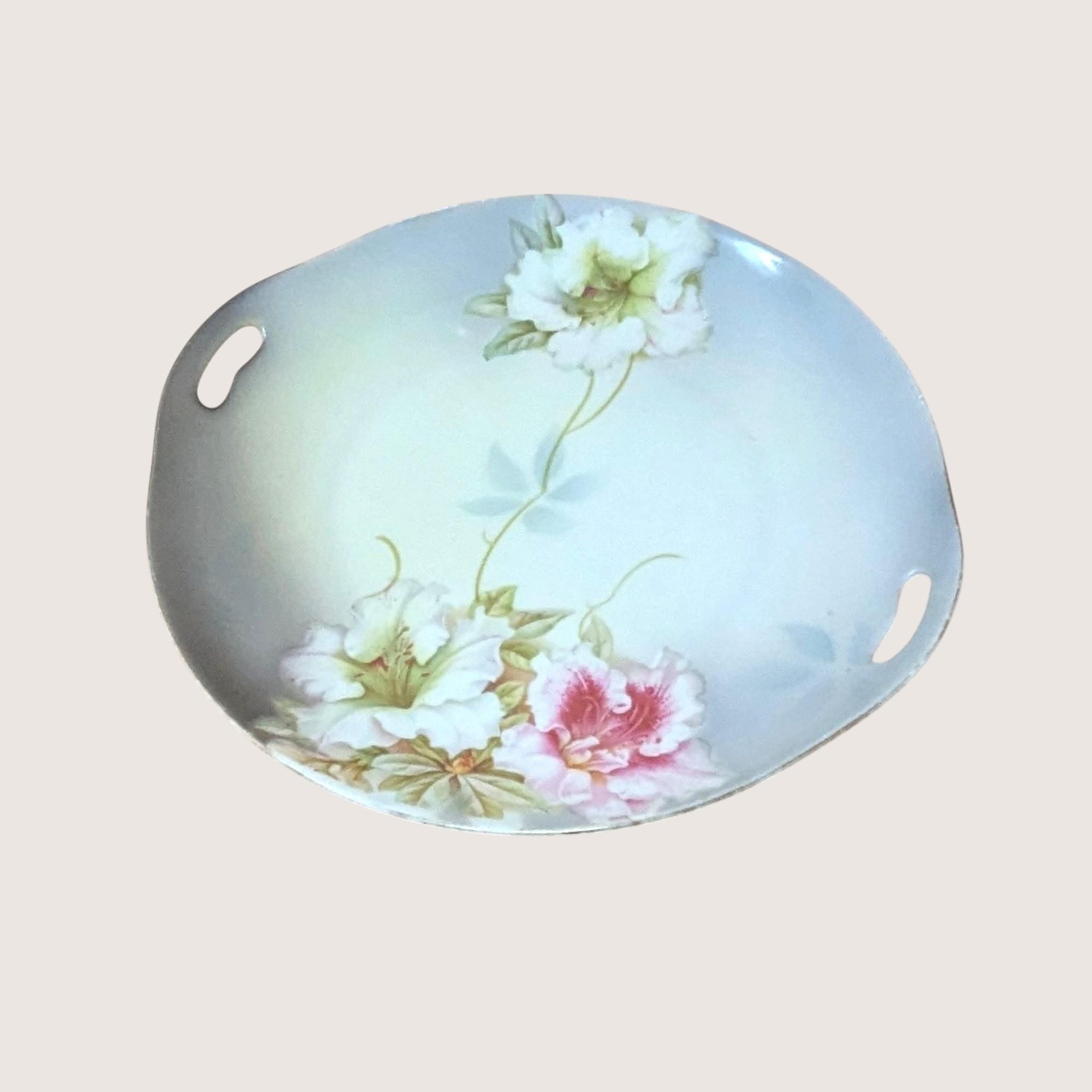 1930s PV Vessra Germany Hand Painted Floral Plate