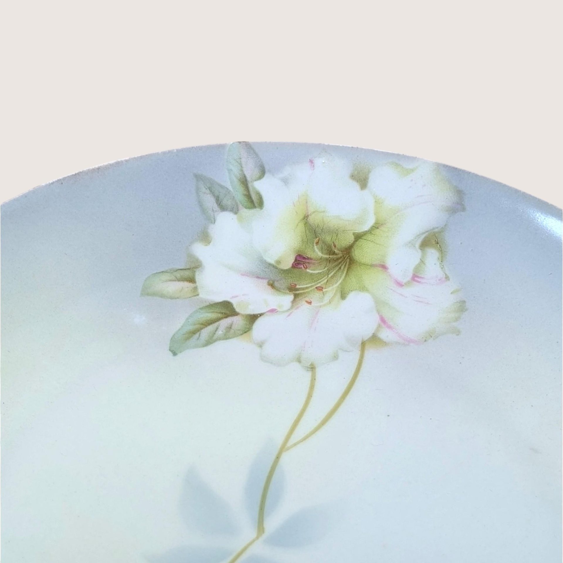 1930s PV Vessra Germany Hand Painted Floral Plate