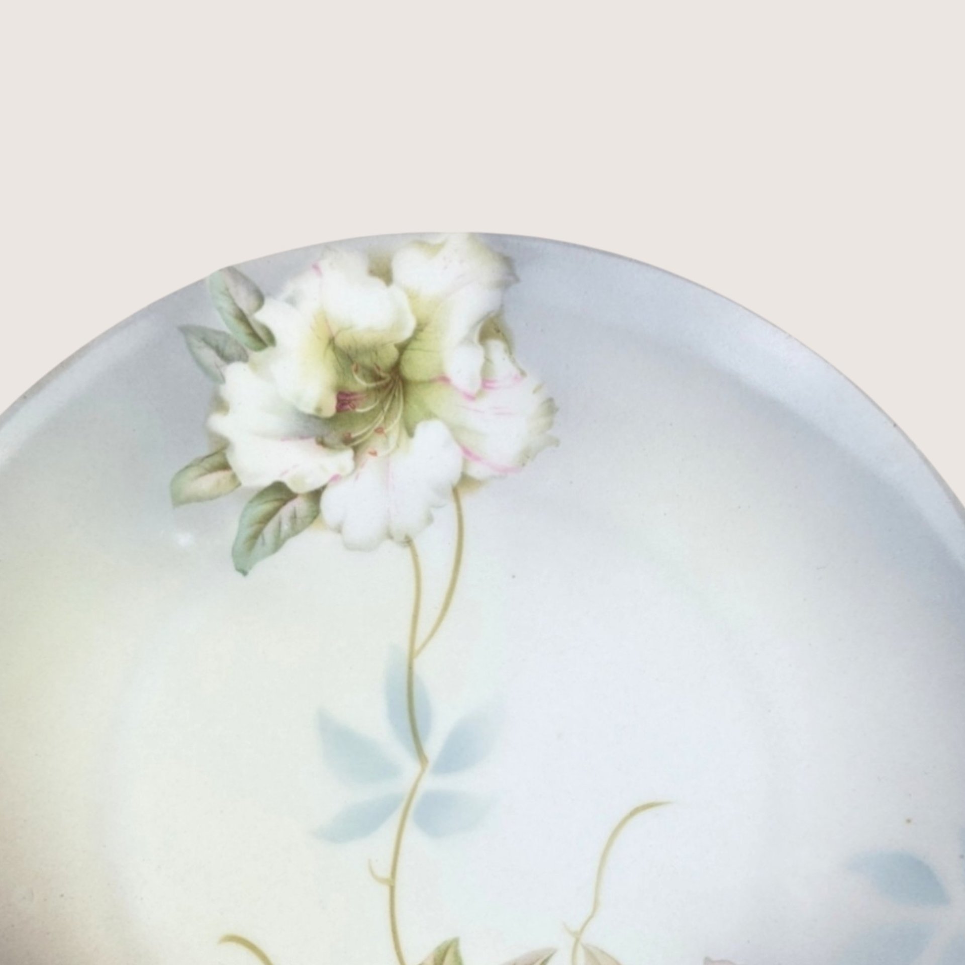 1900s PV Vessra Porcelain Handled Art Nouveau Style Dresser Plate