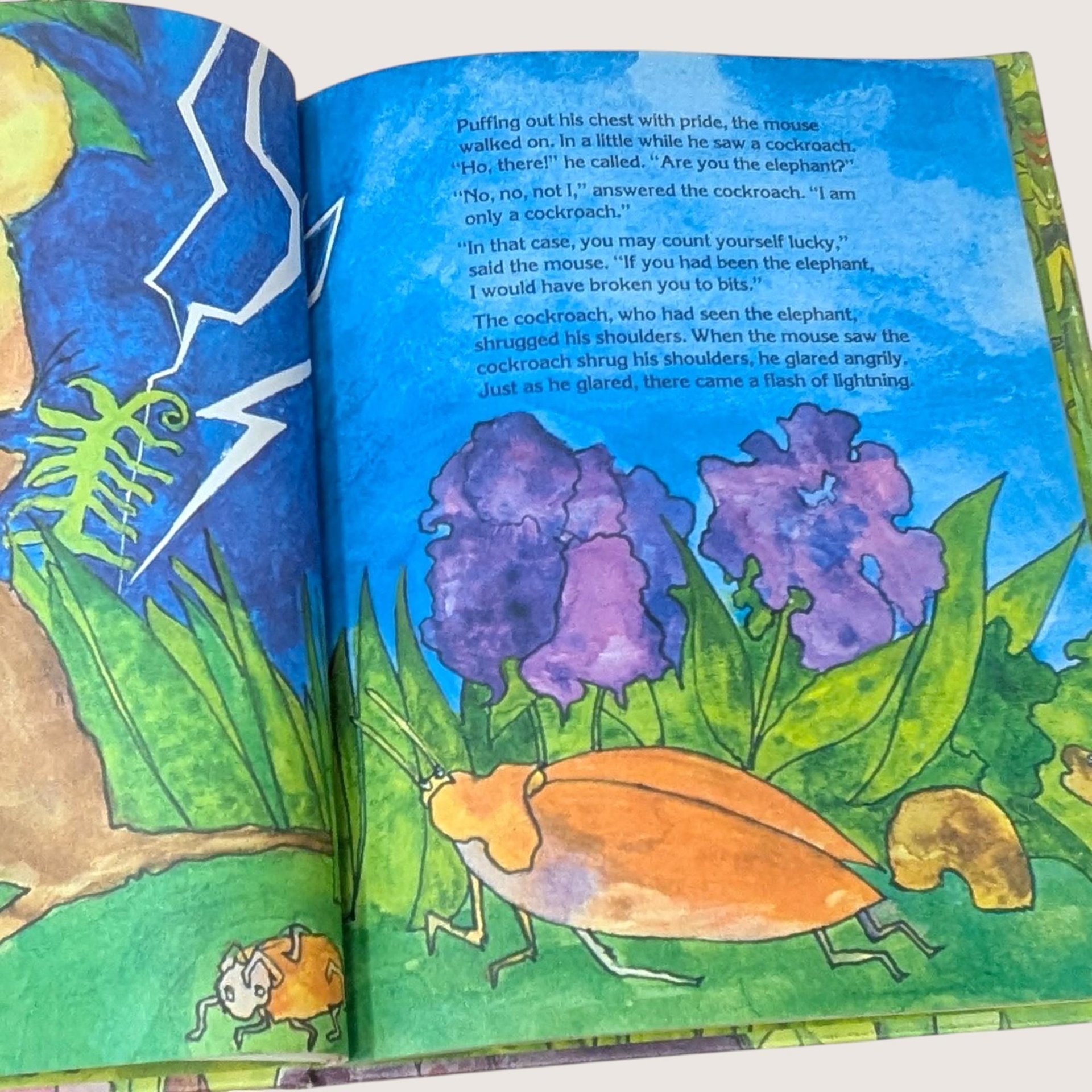 1969 The Mouse and the Elephant Barbara K Walker Hardcover Book