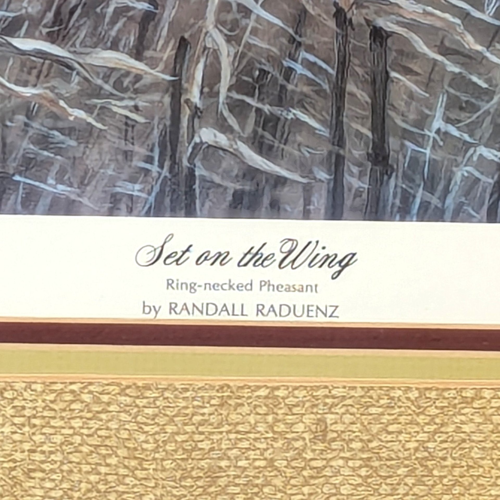 Vintage Randall Raduenz Set on the Wing Signed Numbered Pheasant Print