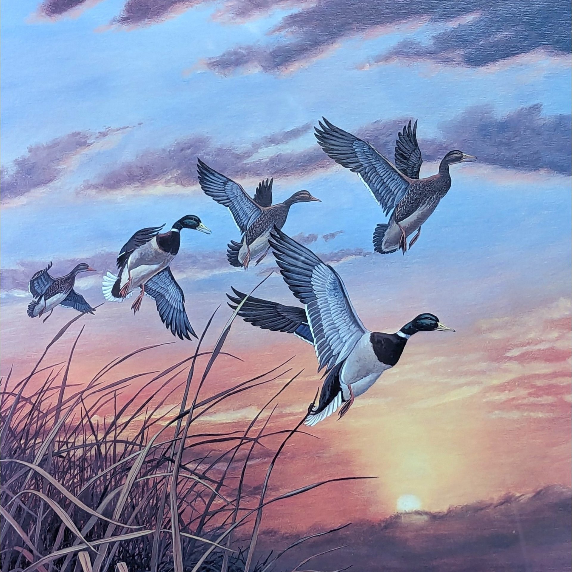 1980s Rhynard Klingbeil Mallards at Sunset Signed Numbered Framed Duck Print
