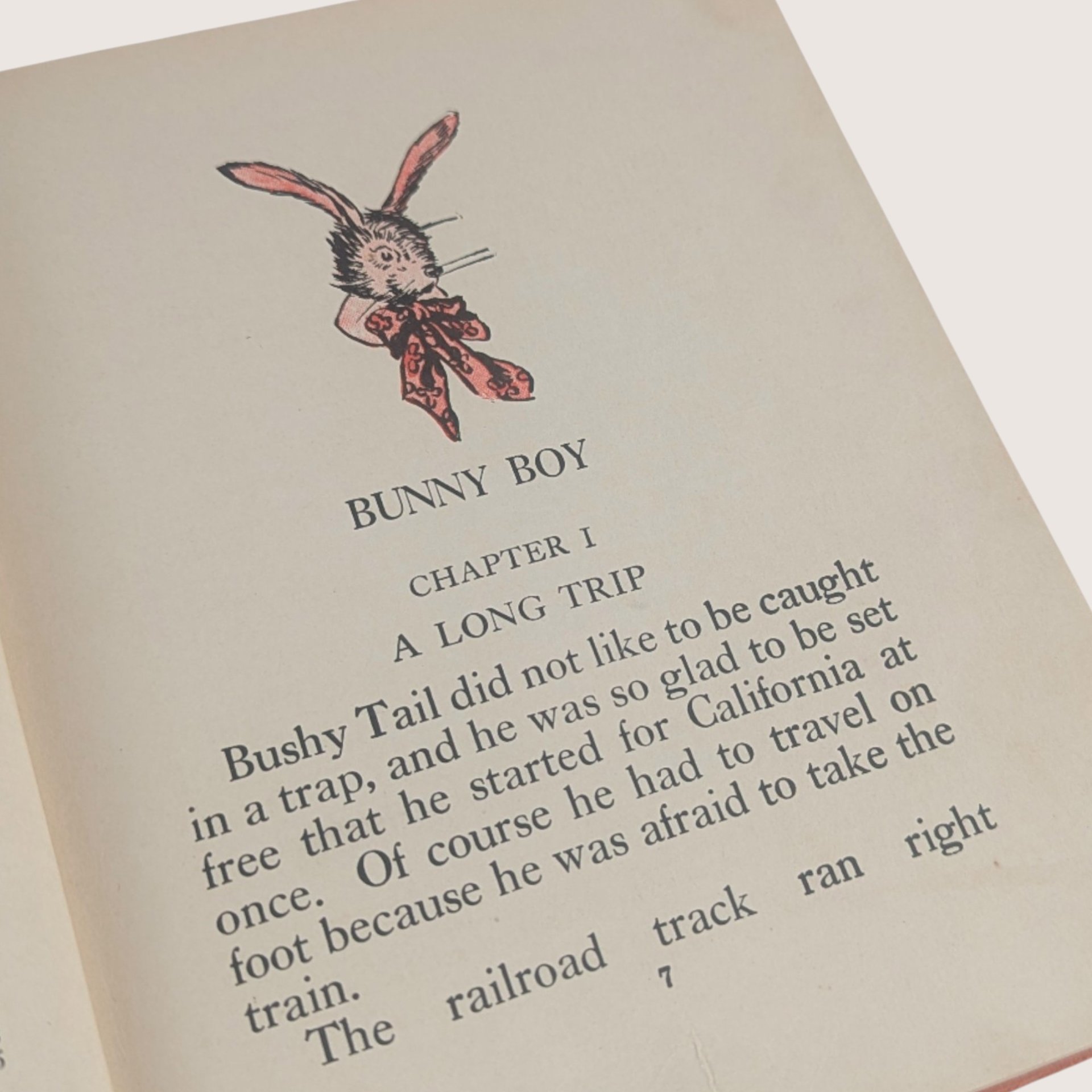 1922 Bunny Boy and Grizzly Bear Laura Rountree Smith Hardcover Book