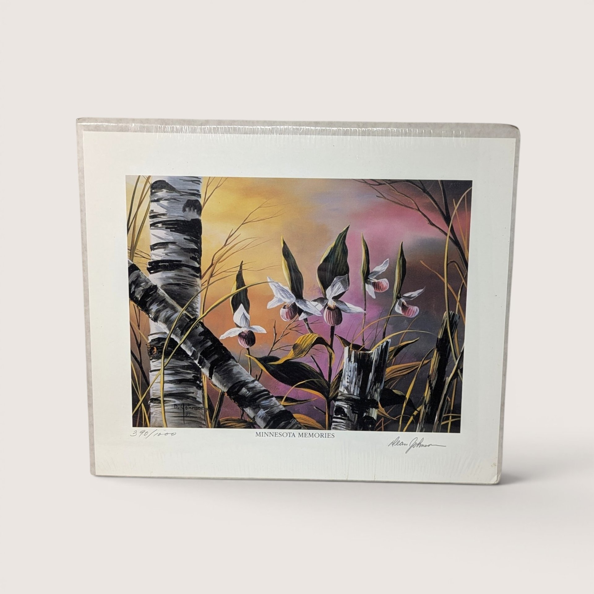 Vintage Dean Johnson Minnesota Memories numbered limited edition print featuring lady slippers and birch trees.
