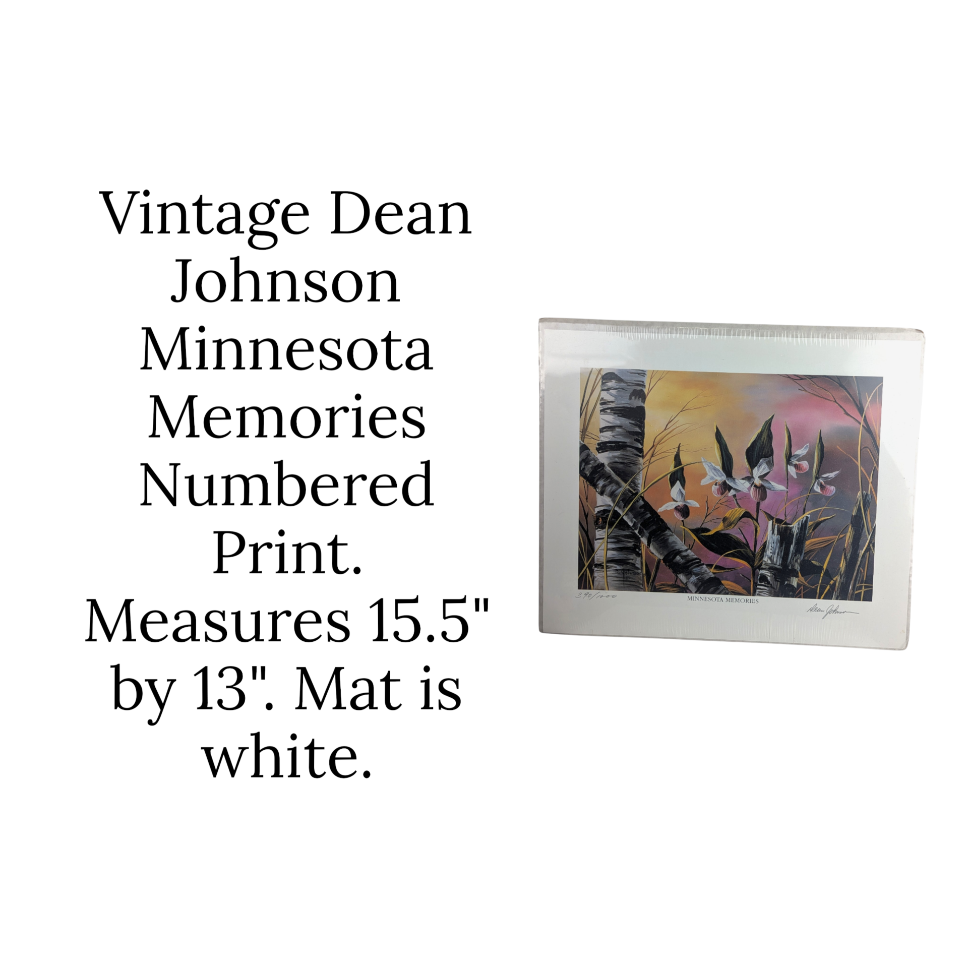 Vintage Dean Johnson Minnesota Memories Numbered Print