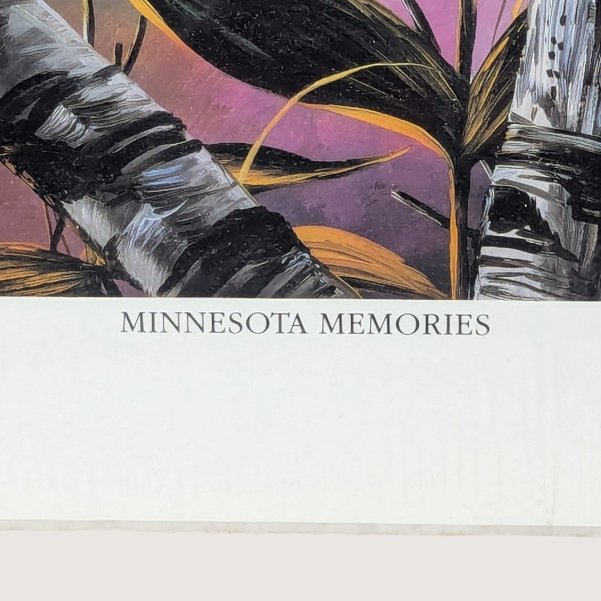 Dean Johnson Minnesota Memories Numbered Limited Edition Print