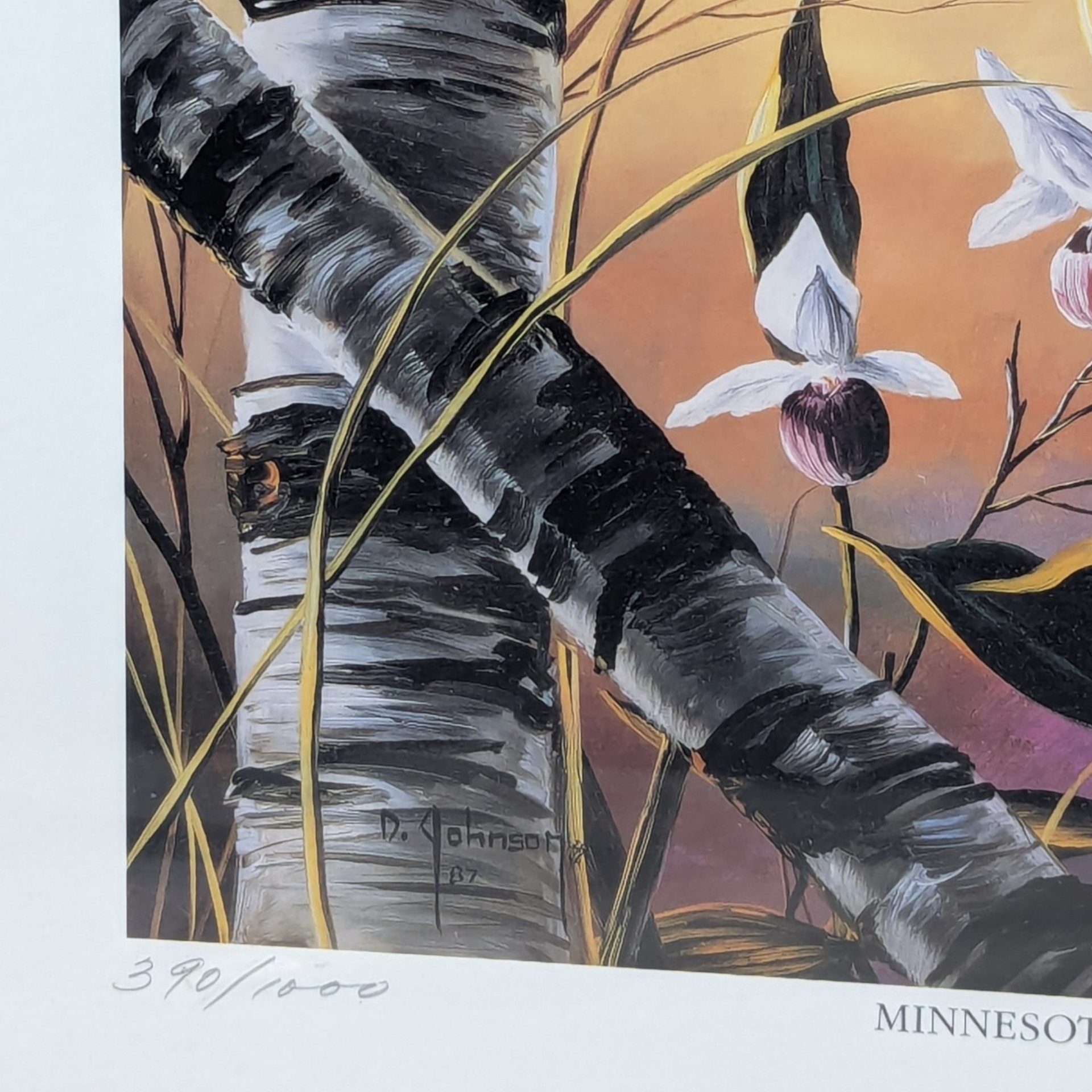 Dean Johnson Minnesota Memories Numbered Limited Edition Print