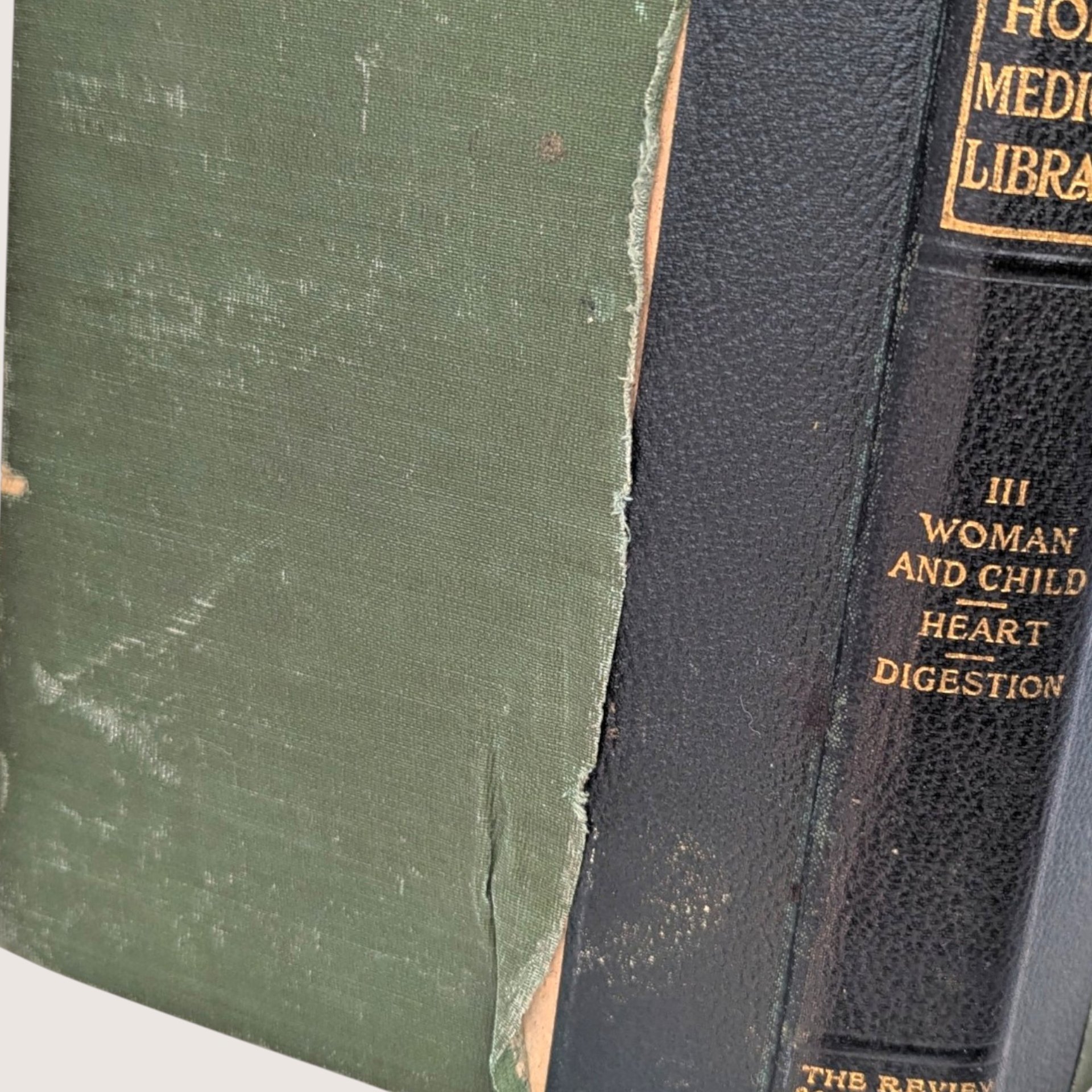 1907 The Home Medical Library by Kenelm Winslow