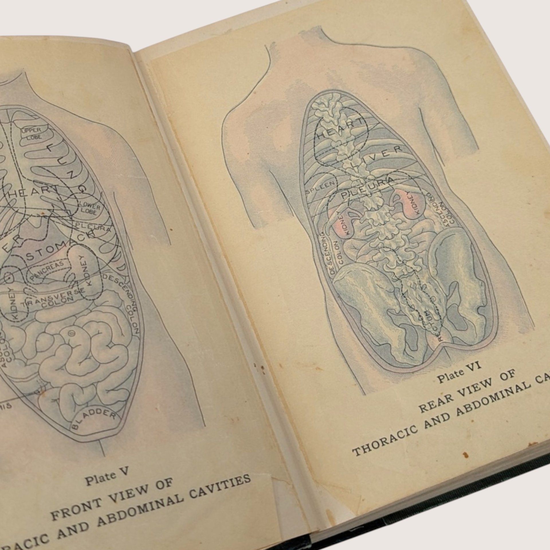 1907 The Home Medical Library by Kenelm Winslow