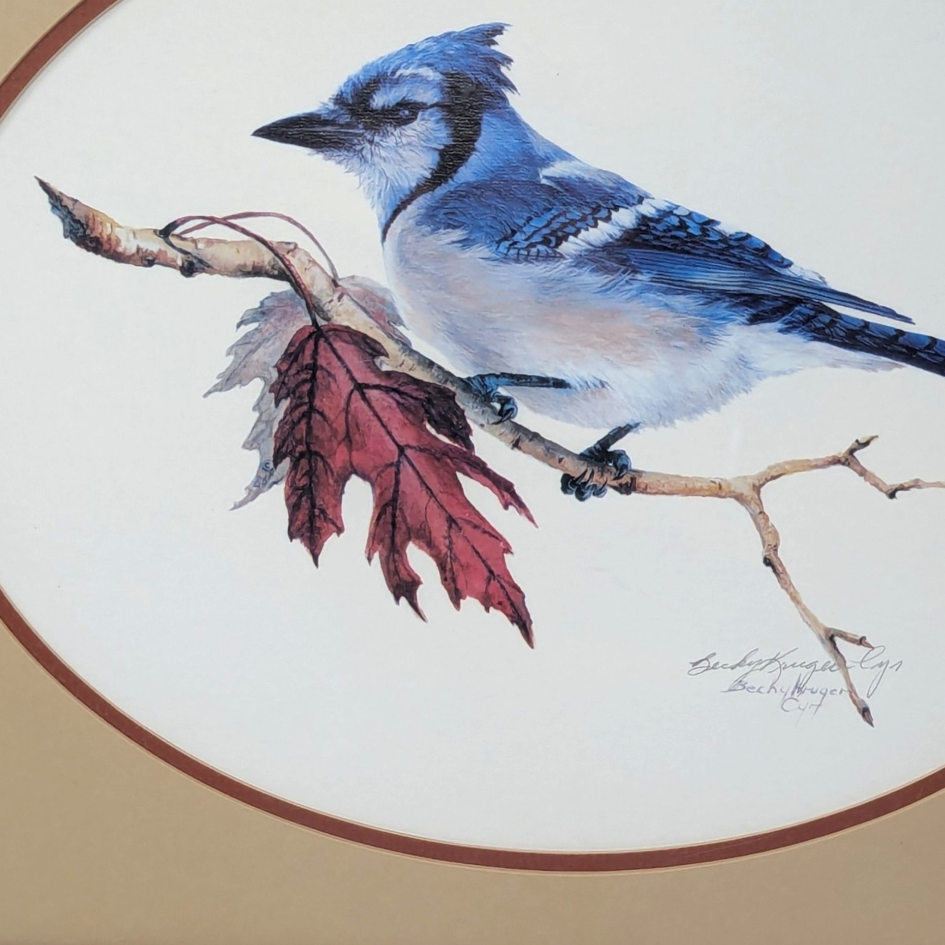 Vintage Blue Jay Wildlife Art Print Signed Becky Kruger Cyr