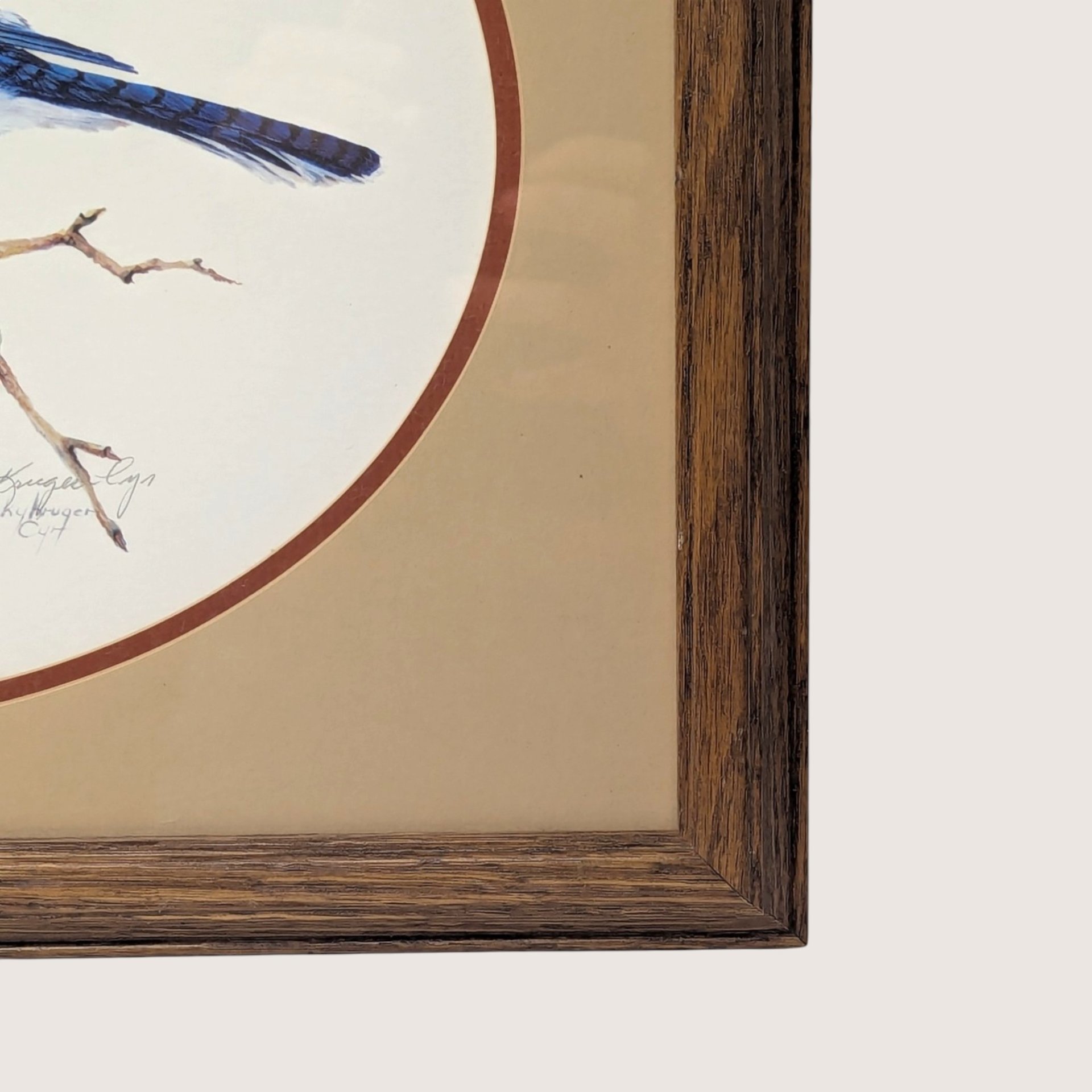 Vintage Blue Jay Wildlife Art Print Signed Becky Kruger Cyr
