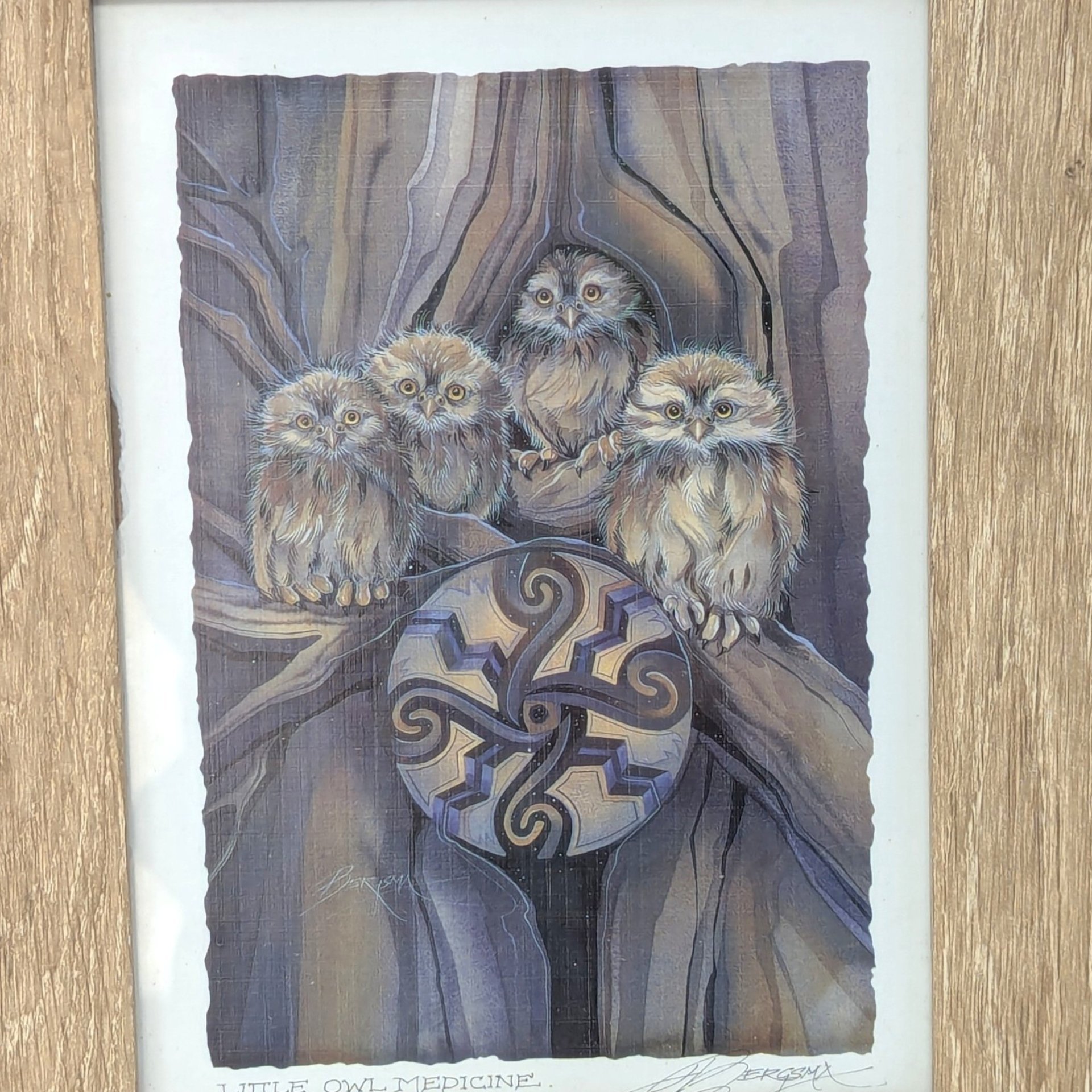 Vintage Little Owl Medicine Jody Bergsma Framed Art Print
