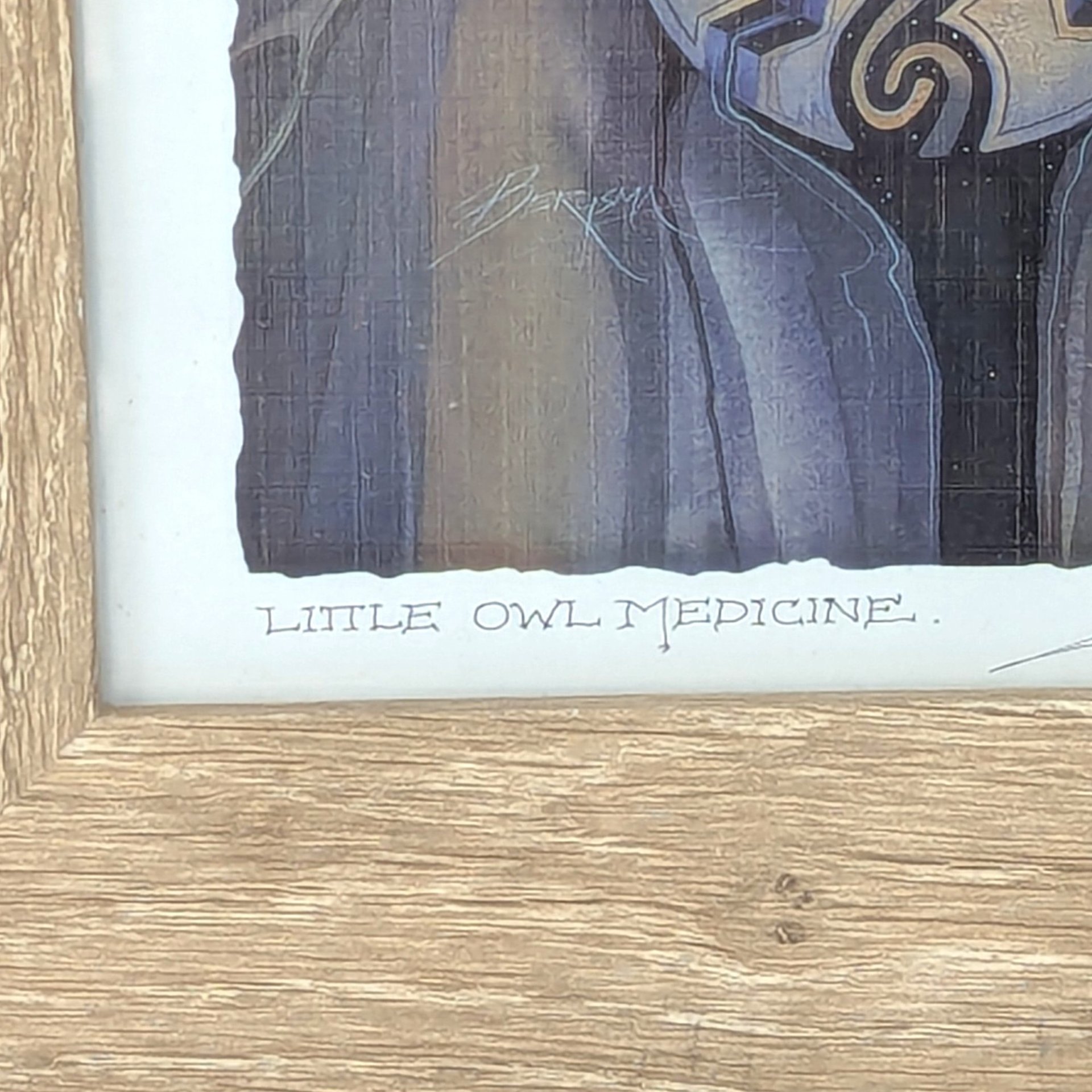 Vintage Little Owl Medicine Jody Bergsma Framed Art Print