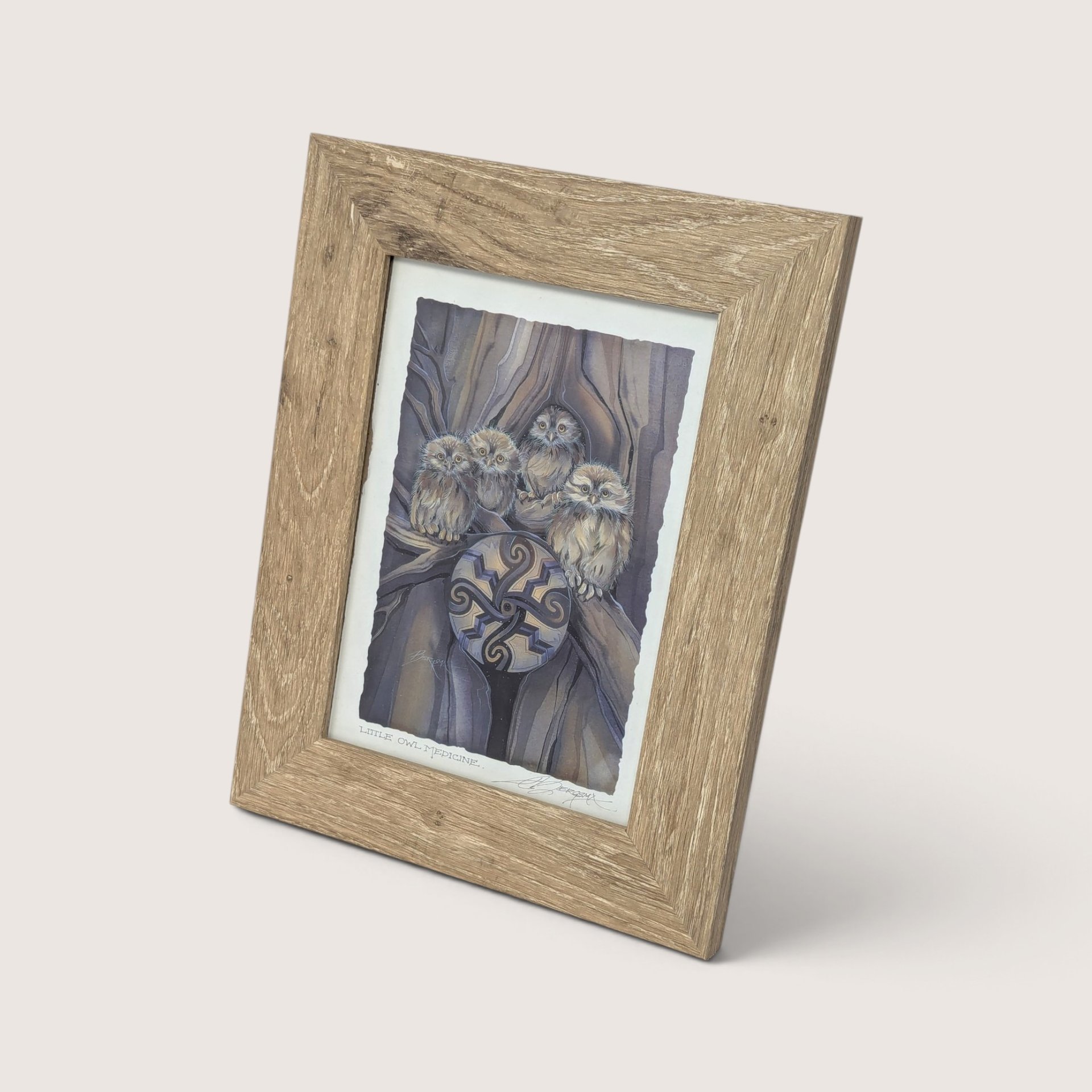 Vintage Little Owl Medicine Jody Bergsma Framed Art Print