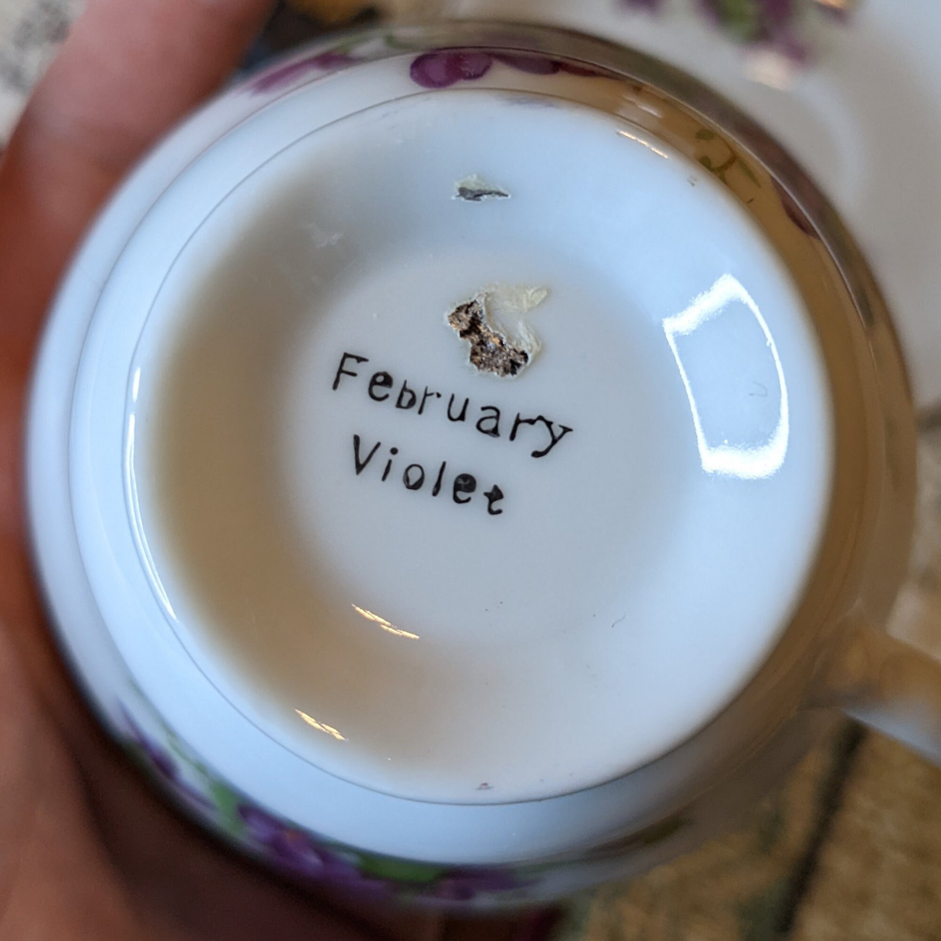 Vintage Bone China February Violet Tea Cup and Saucer