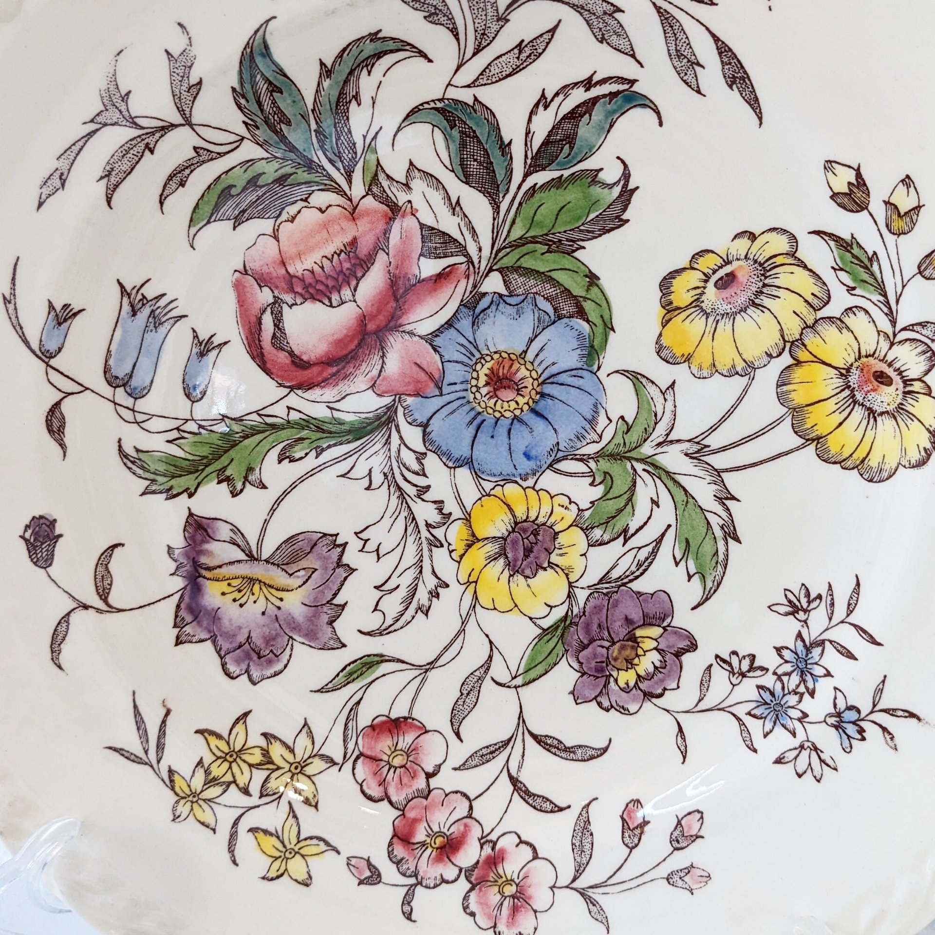 Mayflower Vernon Kilns Hand-Painted Dinner 6 Plates