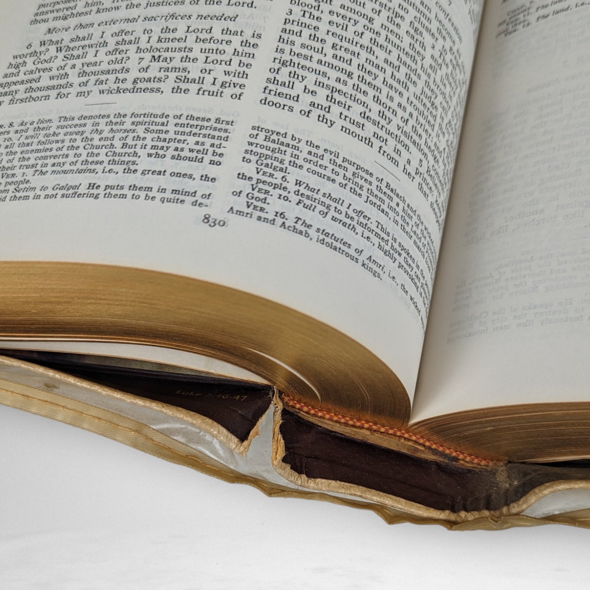 Beautiful Vintage Catholic Holy Bible: A Timeless Spiritual Treasure