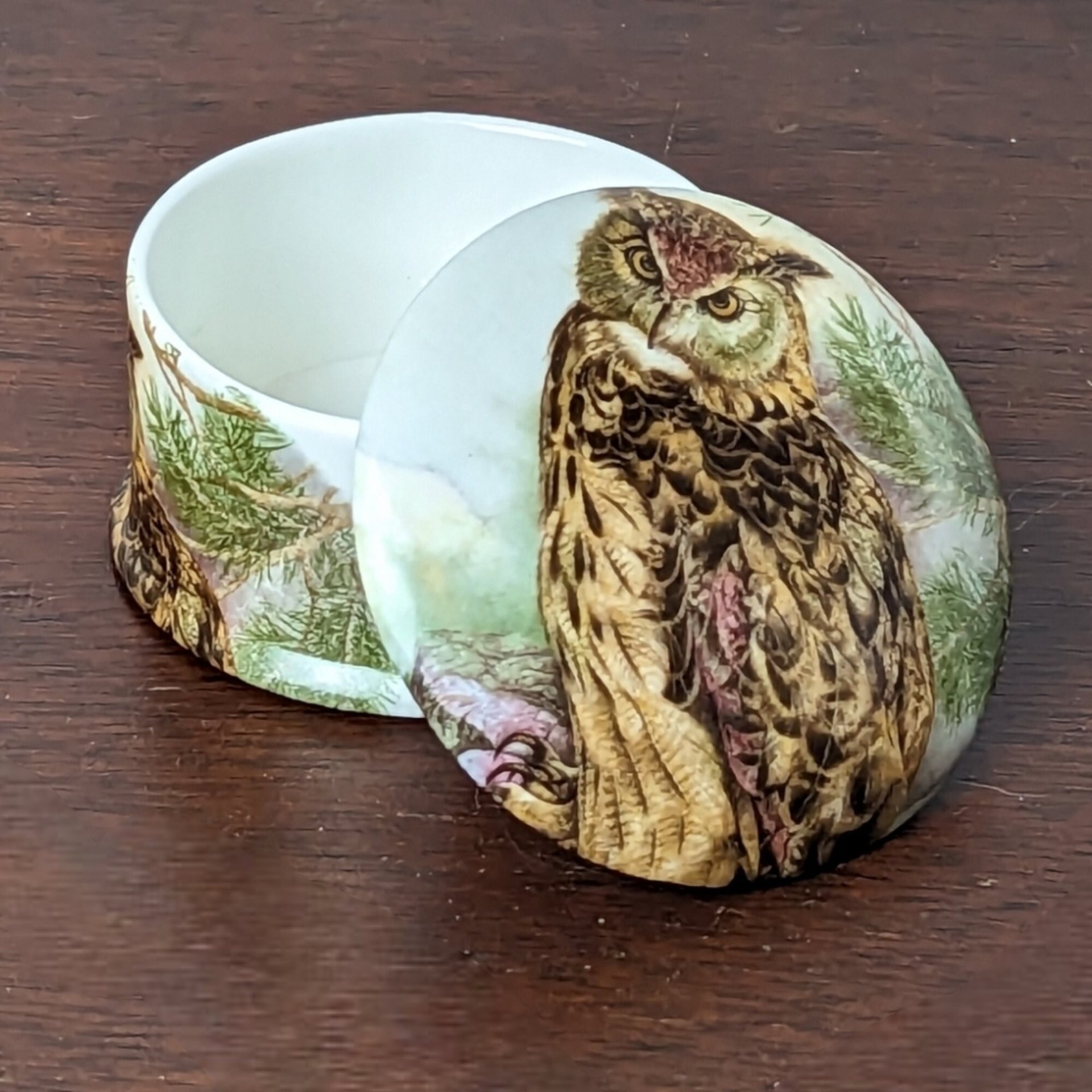 Newhall Staffordshire Bone China Owl Trinket Box