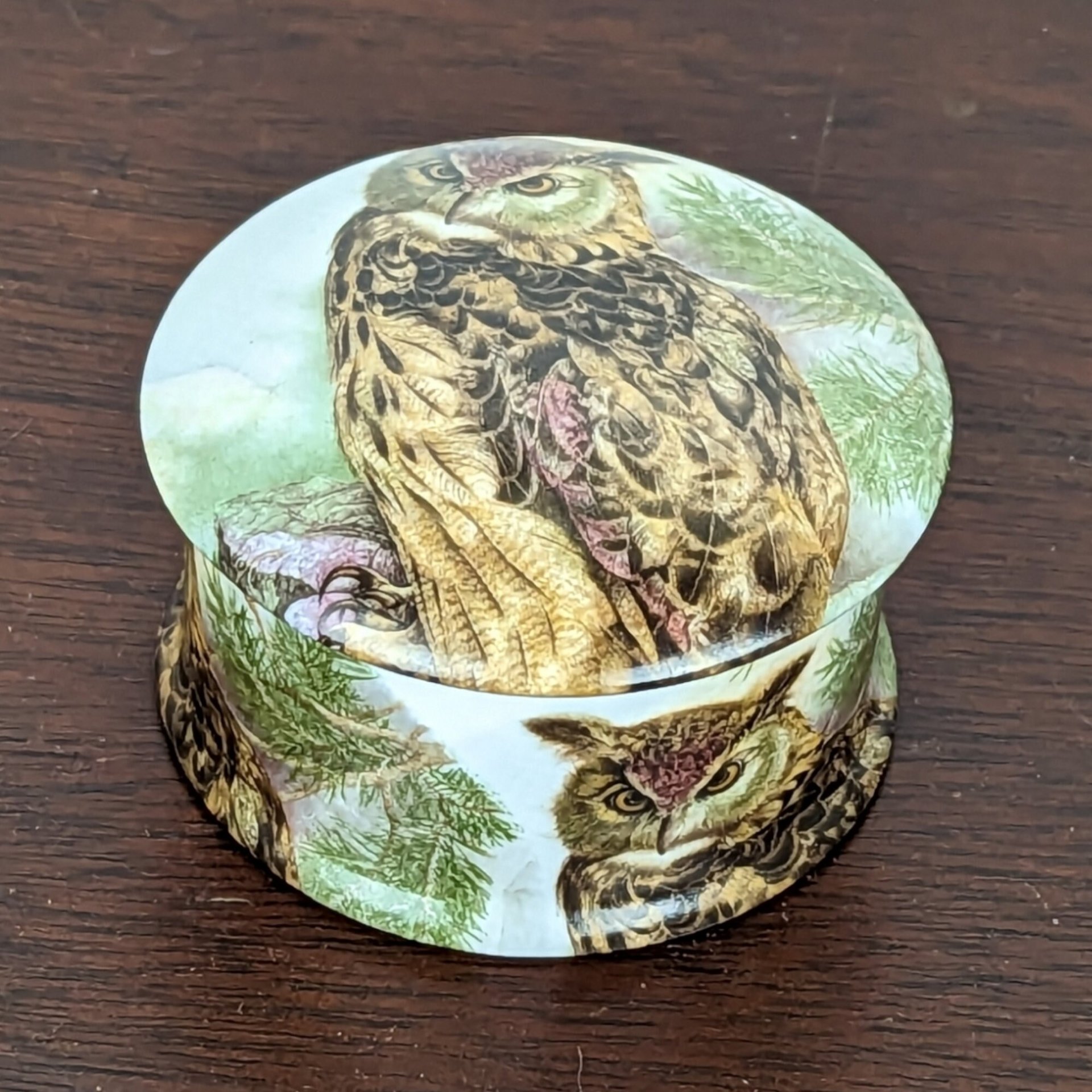 Newhall Staffordshire Bone China Owl Trinket Box
