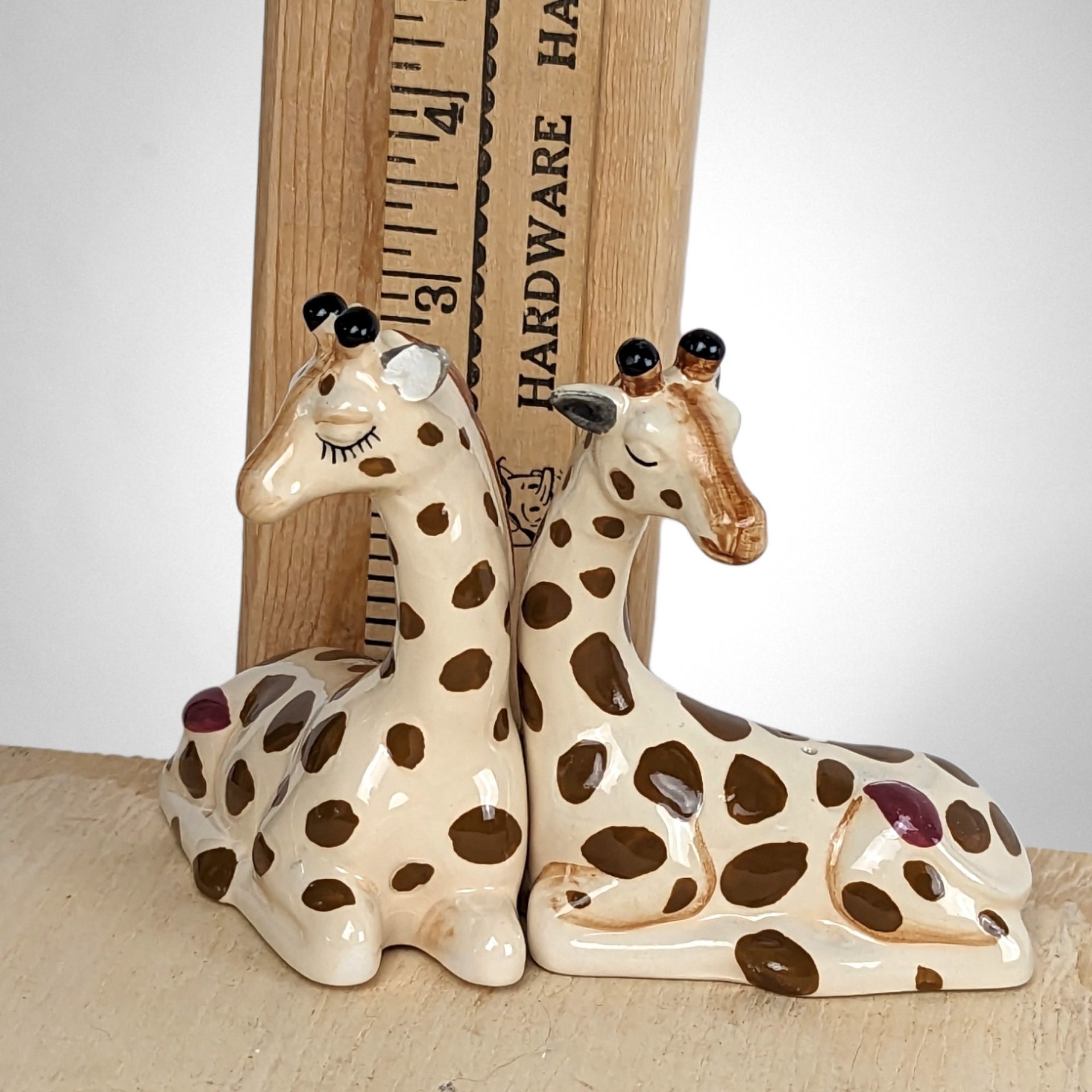 Magnetic Ceramic Giraffe Salt and Pepper Shakers: Quirky Kitchen Decor