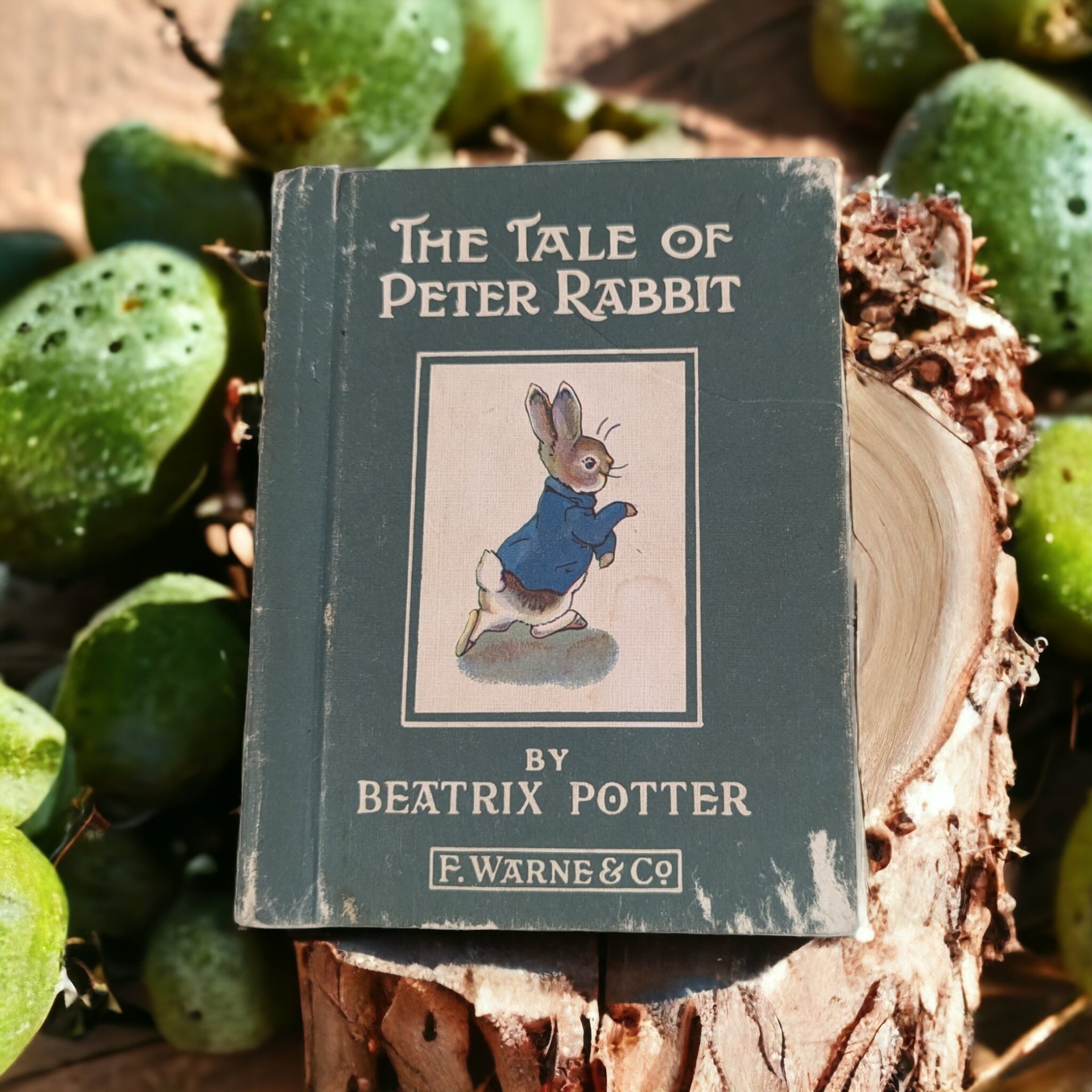 Vintage The Tale of Peter Rabbit - F. Warne & Co.