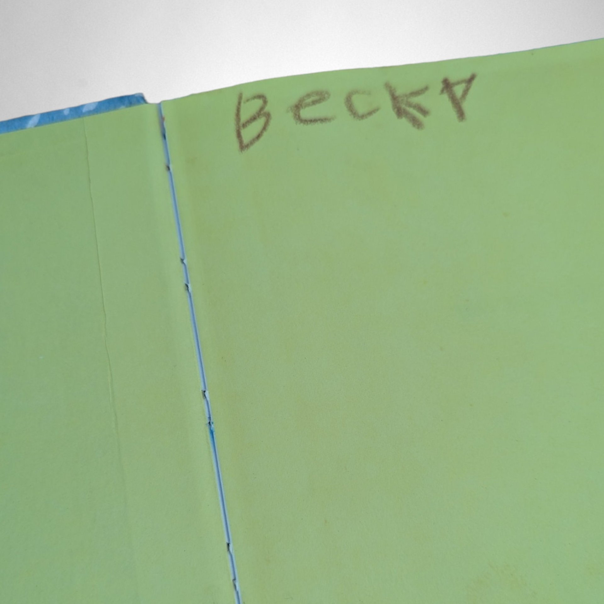 Charming Vintage Children's Book: 'Too Many Mittens' by Florence and Louis Slobodkin - Timeless Tale of Whimsy