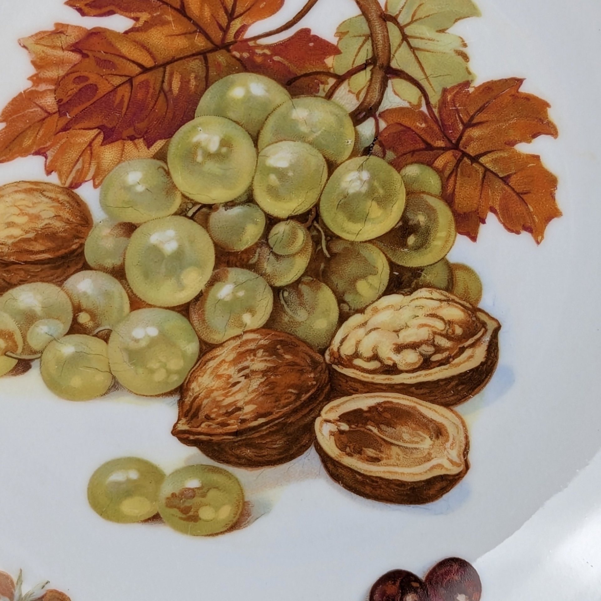 Seltmann Weiden Bavaria Plate with Nuts and Grapes: Vintage Decorative Dish