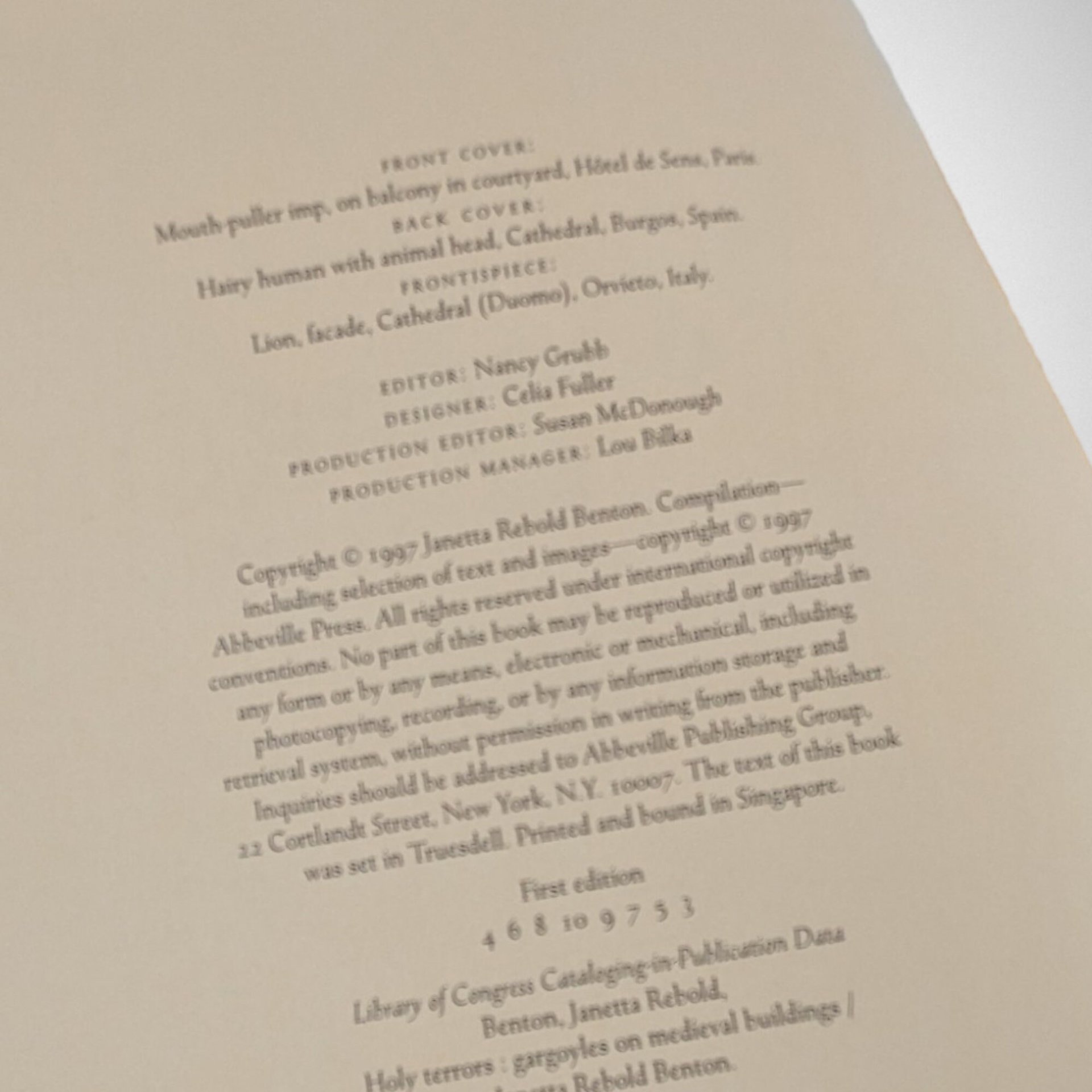 1997 Holy Terrors Gargoyle on Medieval Buildings by Janetta Rebold Benton