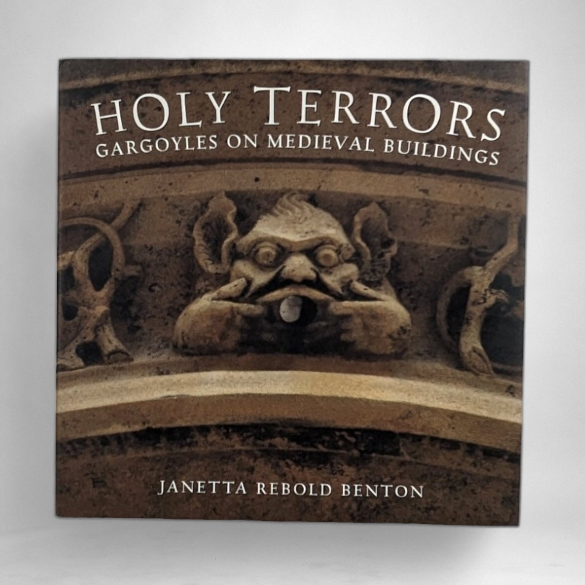 1997 Holy Terrors Gargoyle on Medieval Buildings by Janetta Rebold Benton