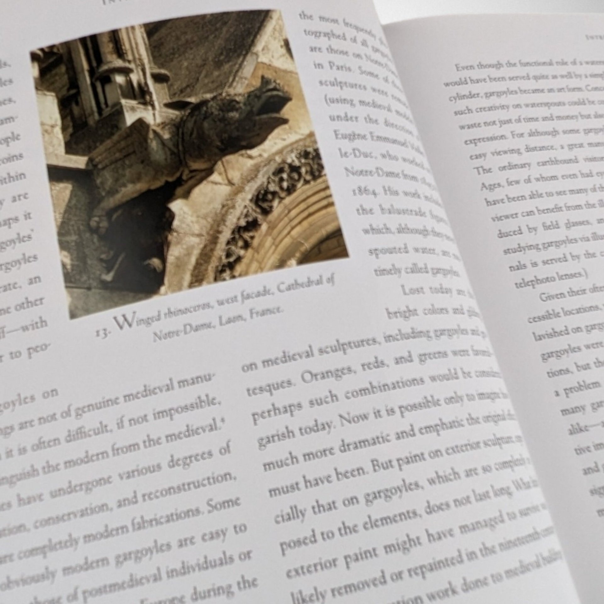 1997 Holy Terrors Gargoyle on Medieval Buildings by Janetta Rebold Benton