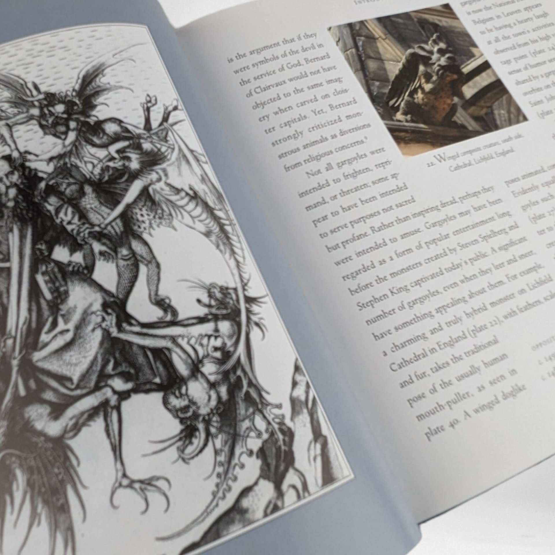 1997 Holy Terrors Gargoyle on Medieval Buildings by Janetta Rebold Benton