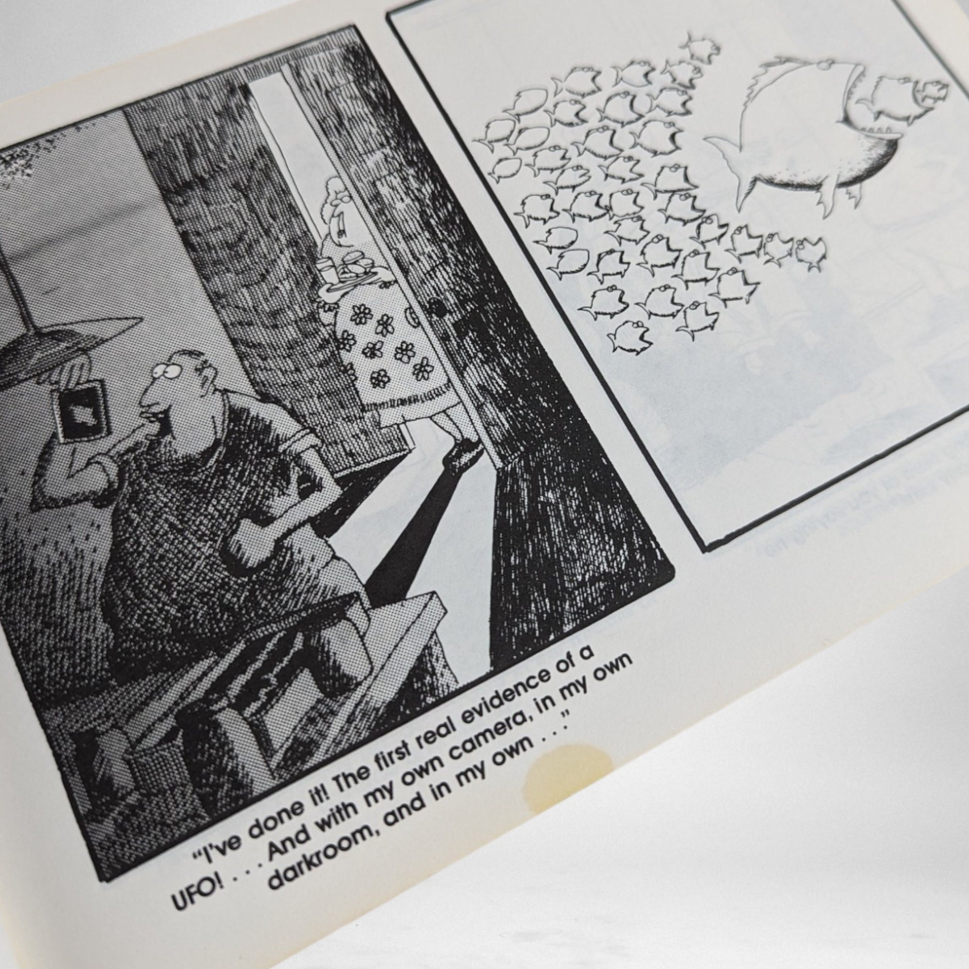 Vintage 1988 The Far Side Book by Gary Larson | 29th Printing | Collectible Humor Book | Good Condition