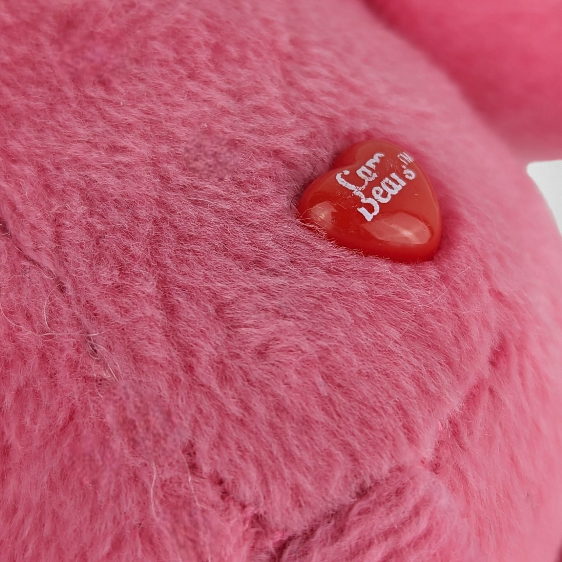 2004 Care Bears 8" Secret Bear Plush Toy