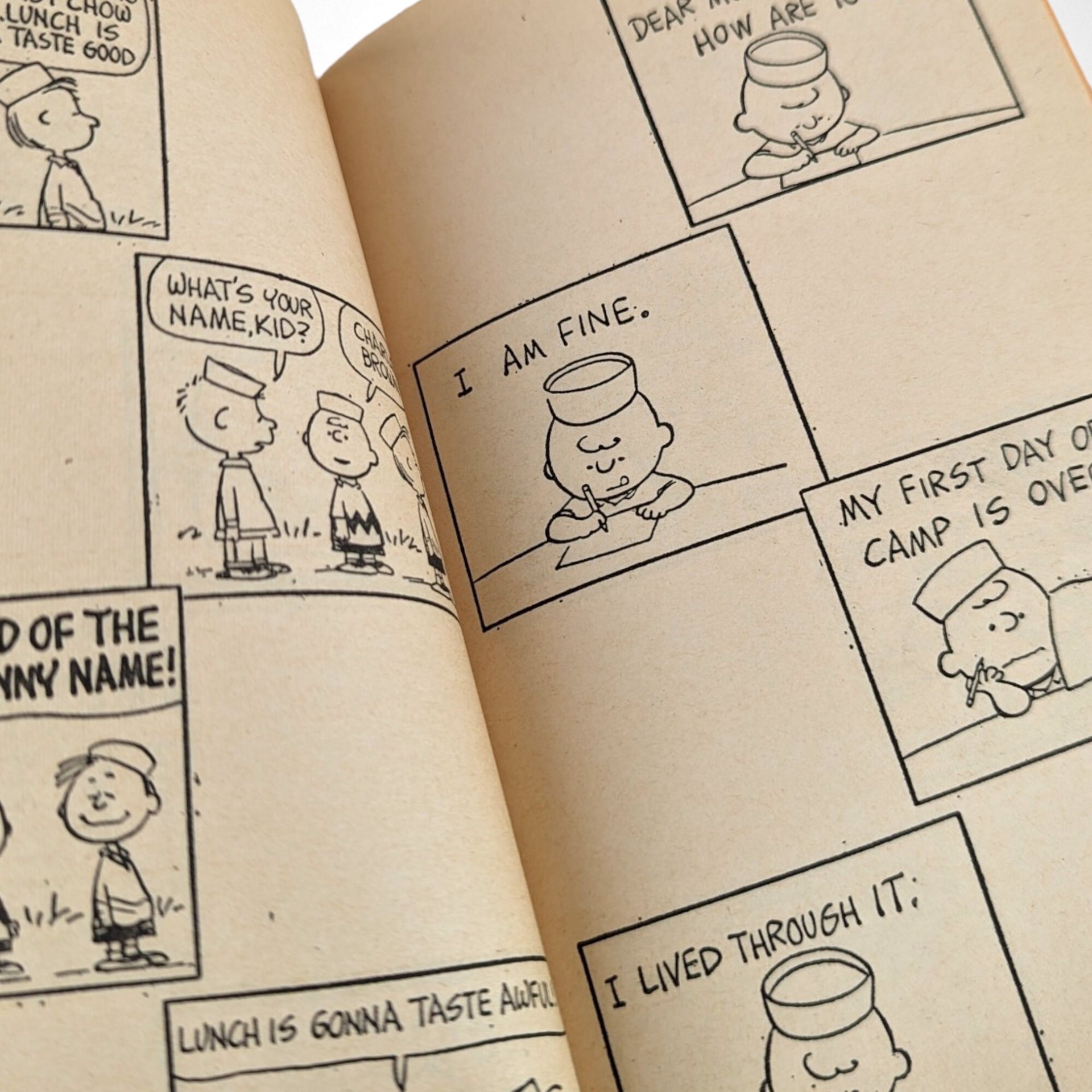 1972 You're a Pal SNOOPY Softcover Book, Charles M. Schulz