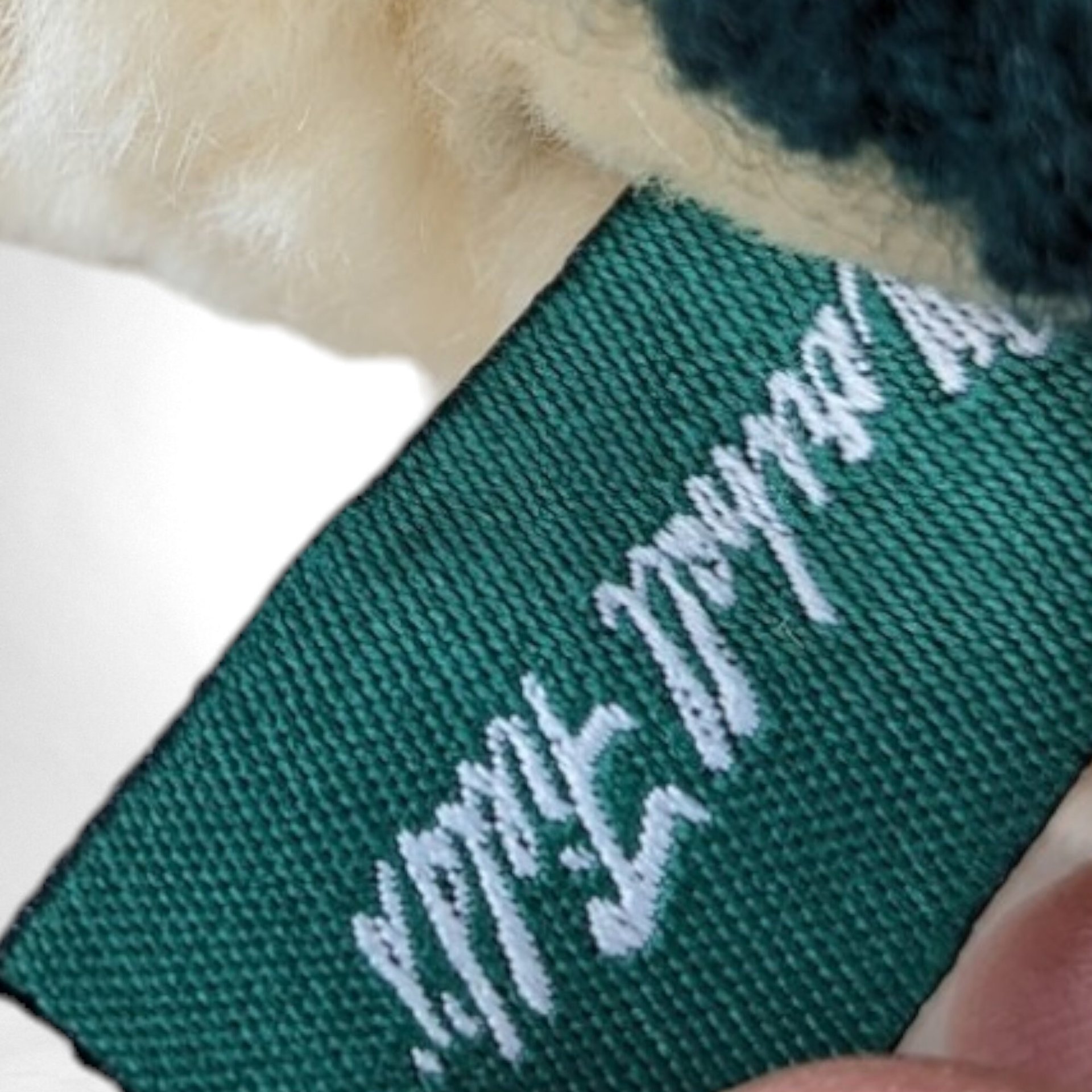 2003 Marshall Field's Franco Teddy Bear | 8" Plush |  Department Store Bear | Collectible Teddy | Chicago Nostalgia | With Candy