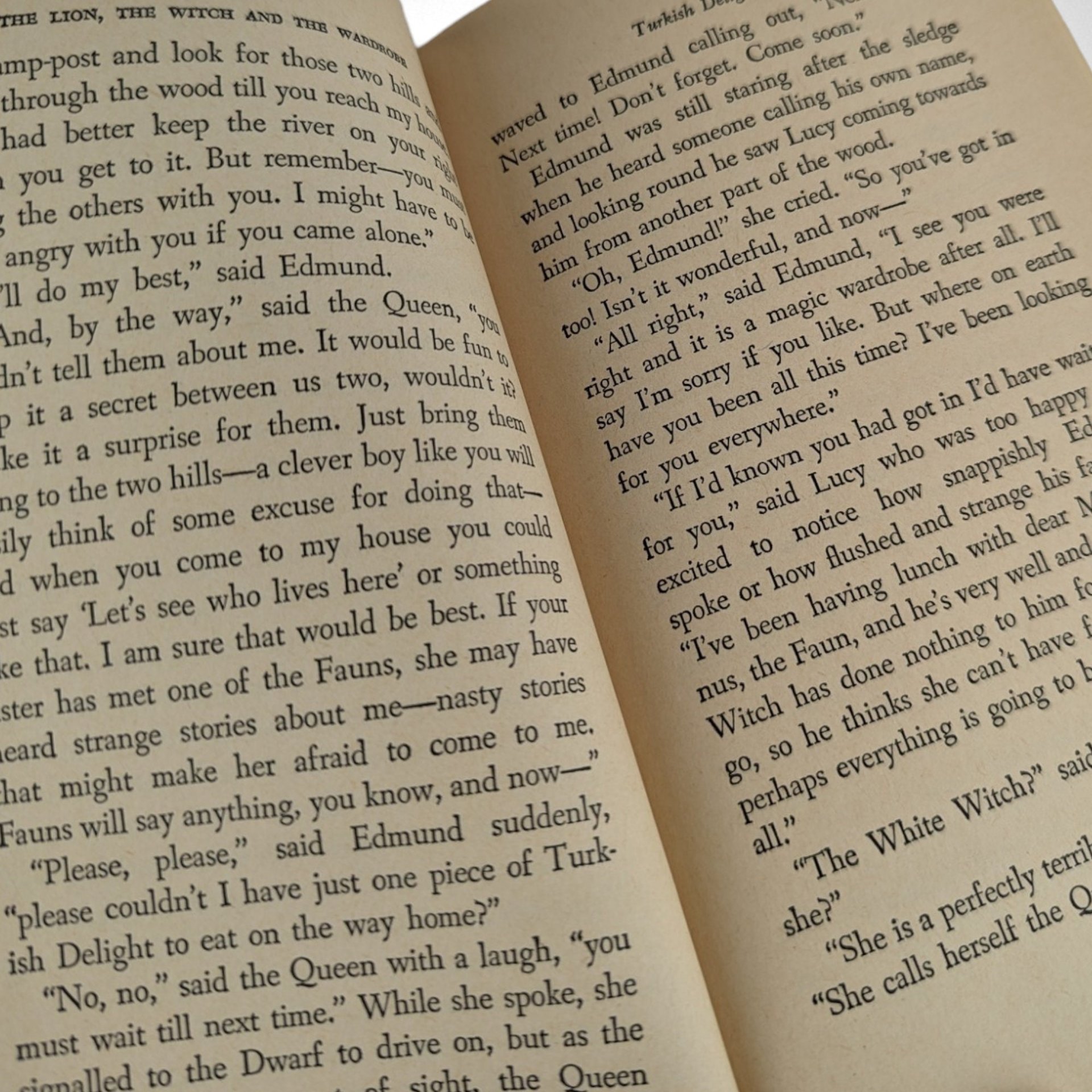 Vintage 1973 The Lion, The Witch and The Wardrobe Paperback by C.S. Lewis, 10th Printing, Good Condition, Collectible