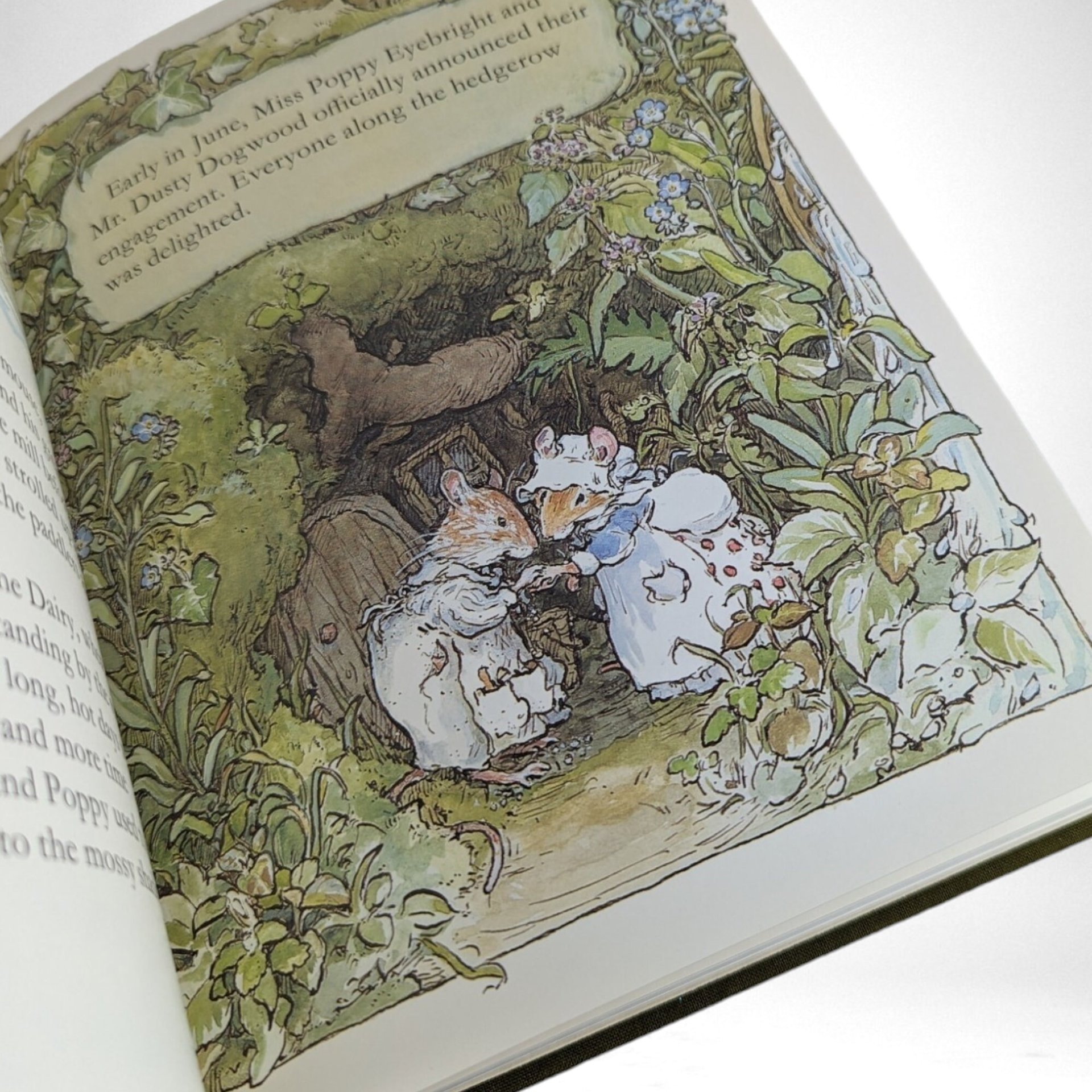 Vintage The Four Seasons of Brambley Hedge, Jill Barklem Hardcover Book