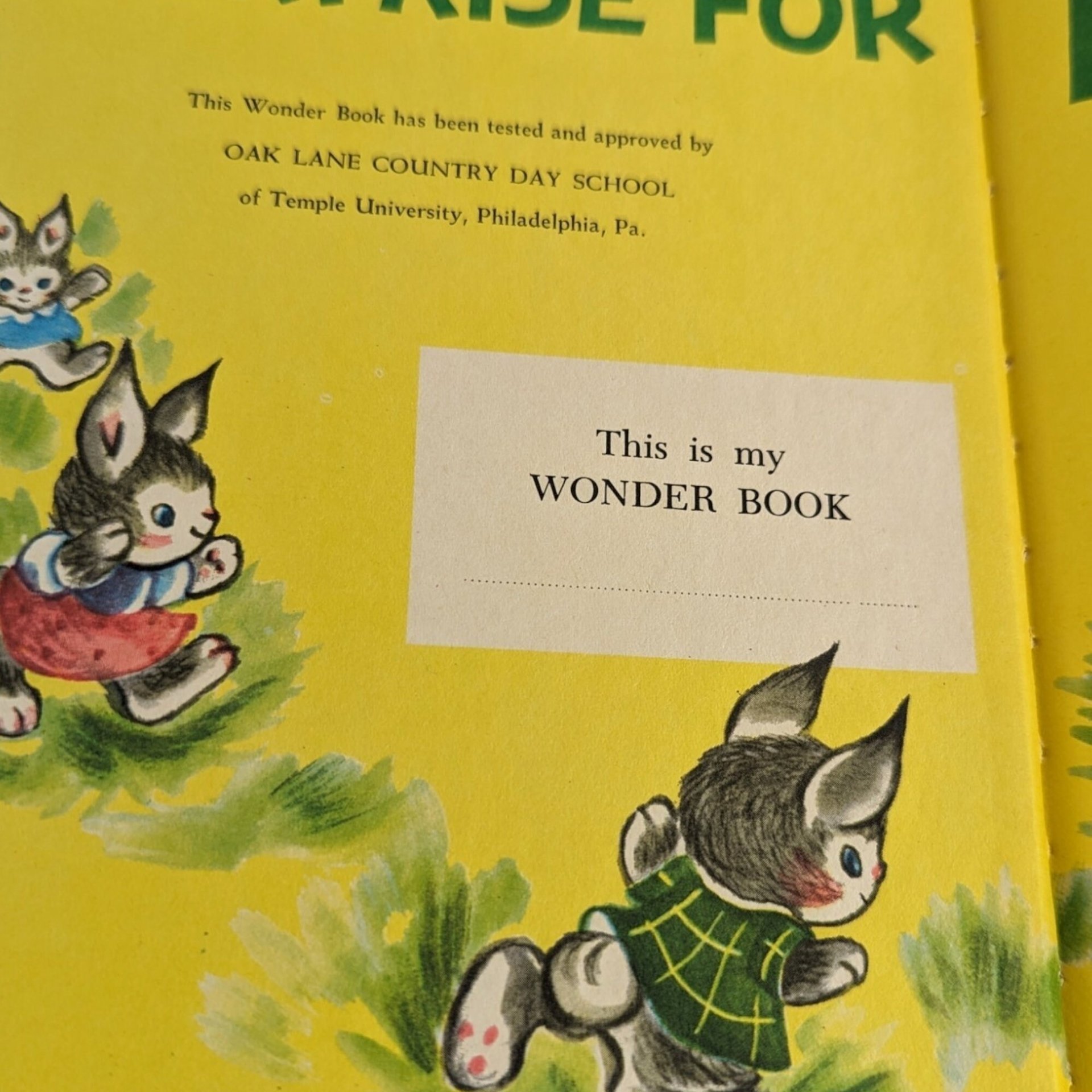 1953 A Surprise for Mrs. Bunny, Charlotte Steiner, Hardcover