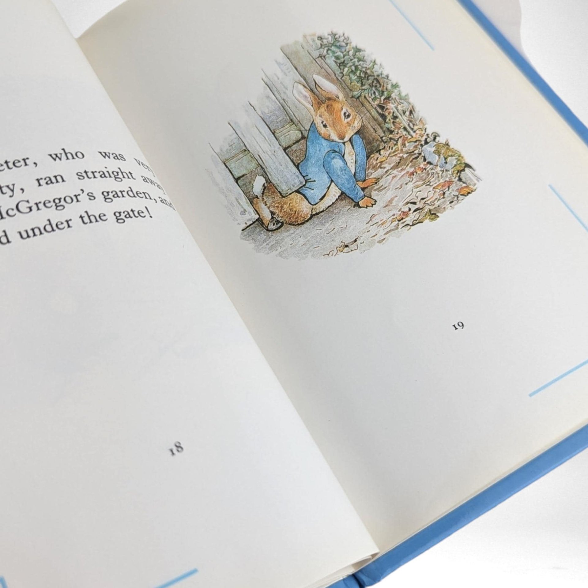 Federick Warne & Co 1992 The Tale of Peter Rabbit, Hardcover Book