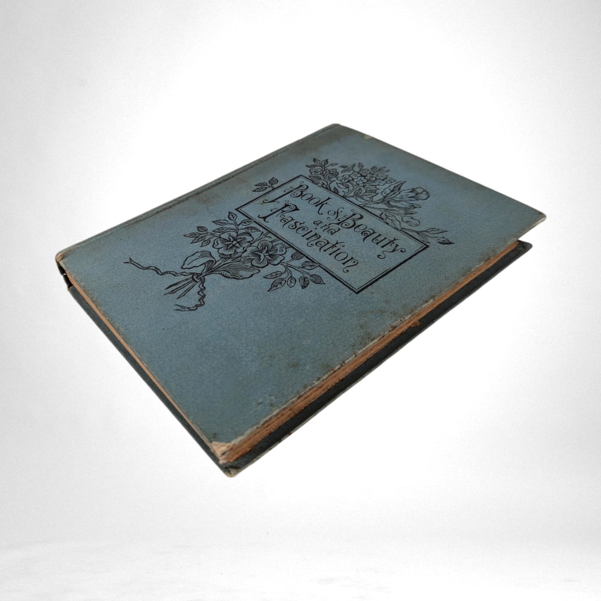 Antique Book of Beauty and Fascination by Eva Forde Jelley | 100+ Year Old Hardcover | Vintage Beauty Guide | Historical Collectible