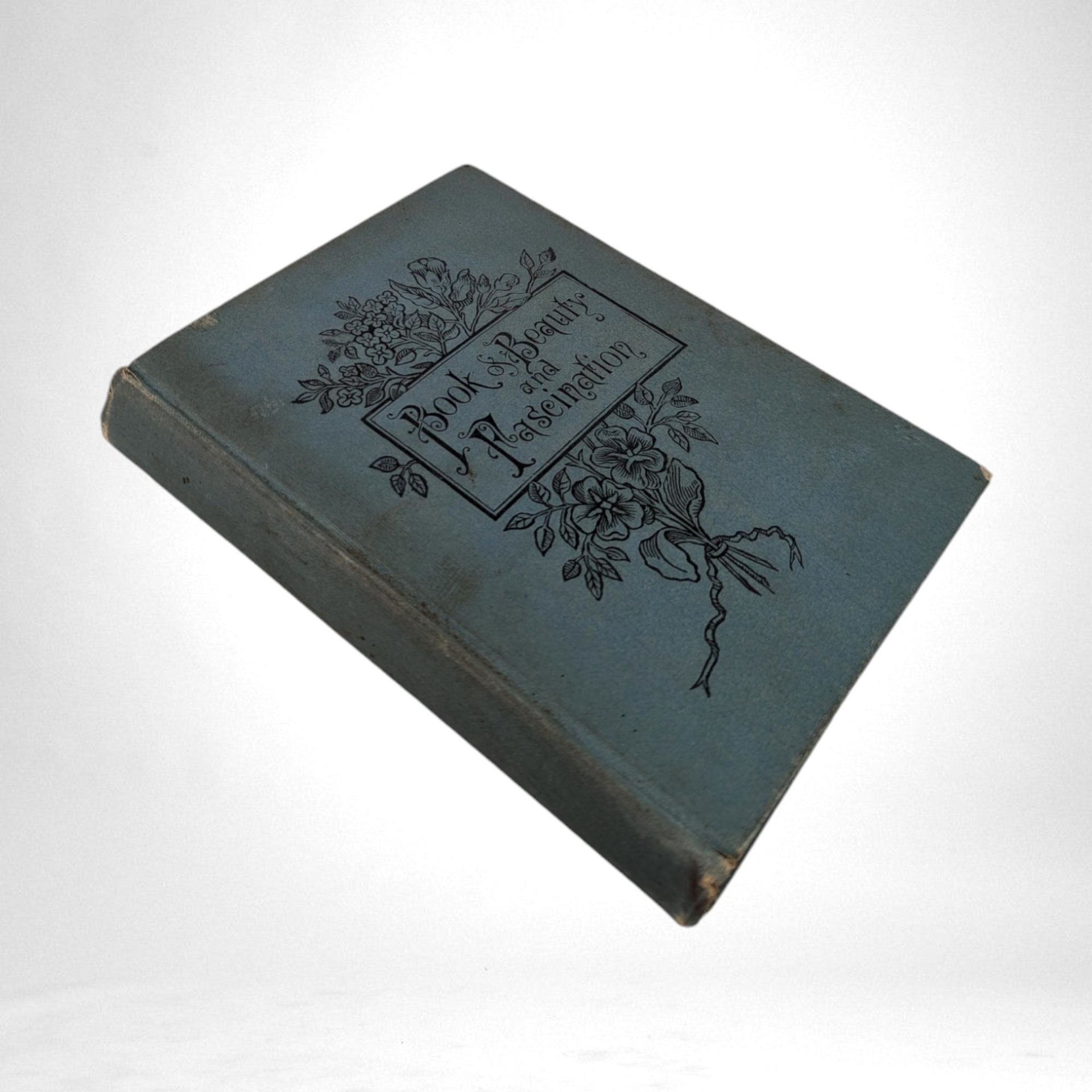 Antique Book of Beauty and Fascination by Eva Forde Jelley | 100+ Year Old Hardcover | Vintage Beauty Guide | Historical Collectible