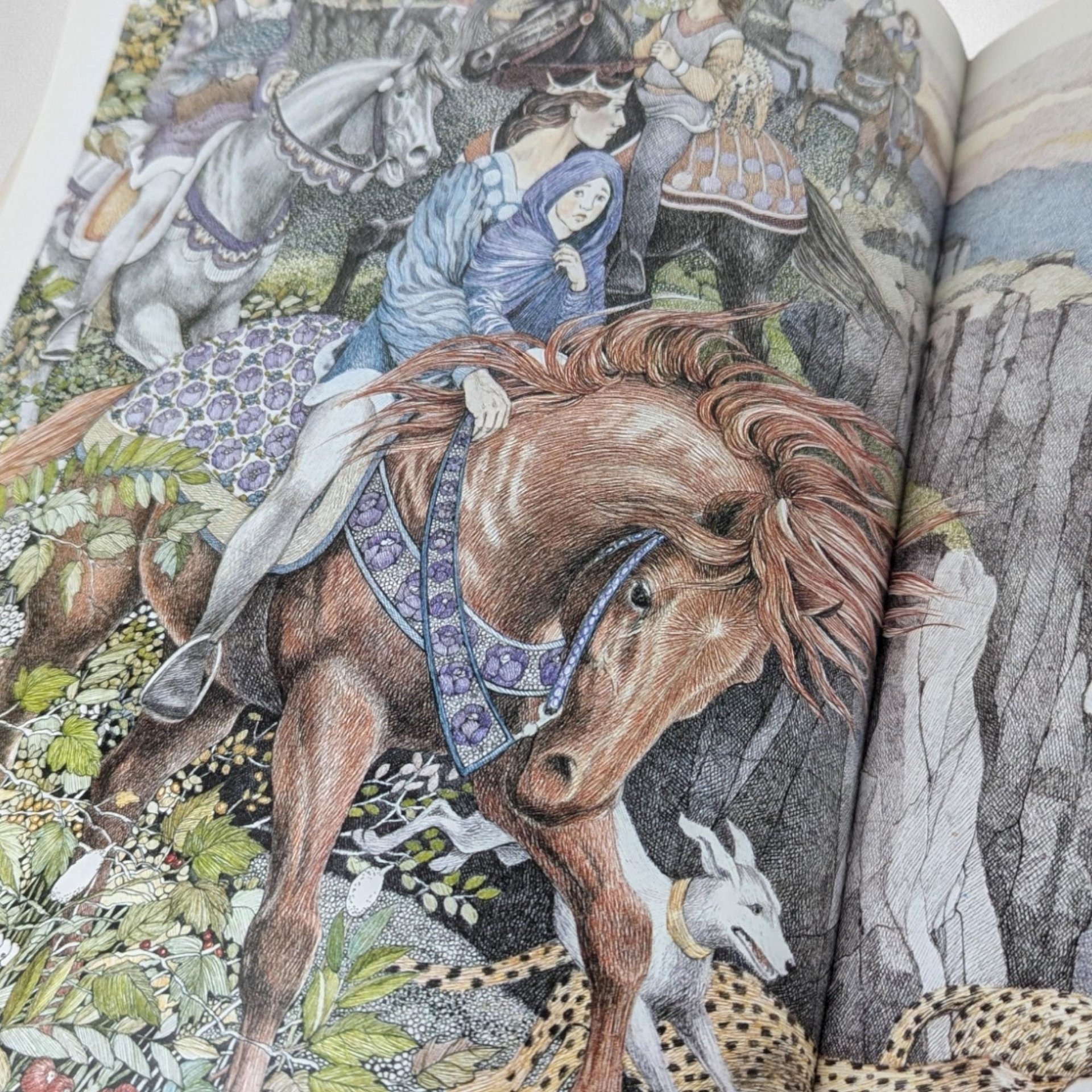 1981 Hans Christian Anderson The Wild Swans Softcover Book