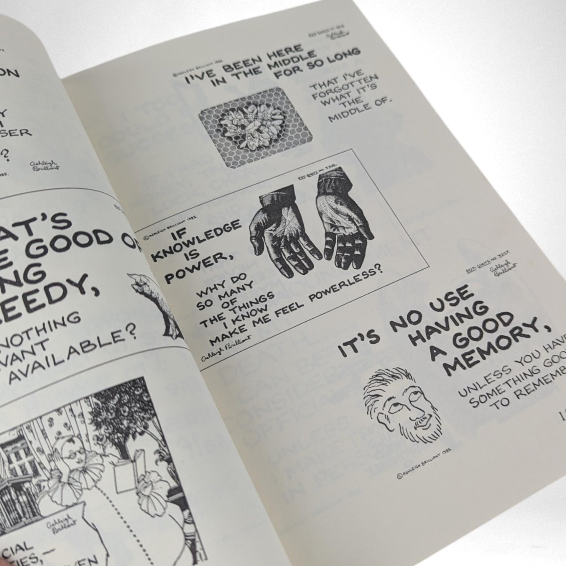 1990 All I Want Is a Warm Bed and a Kind Word, and Unlimited Power by Ashleigh Brilliant, Humor Book, Vintage Paperback