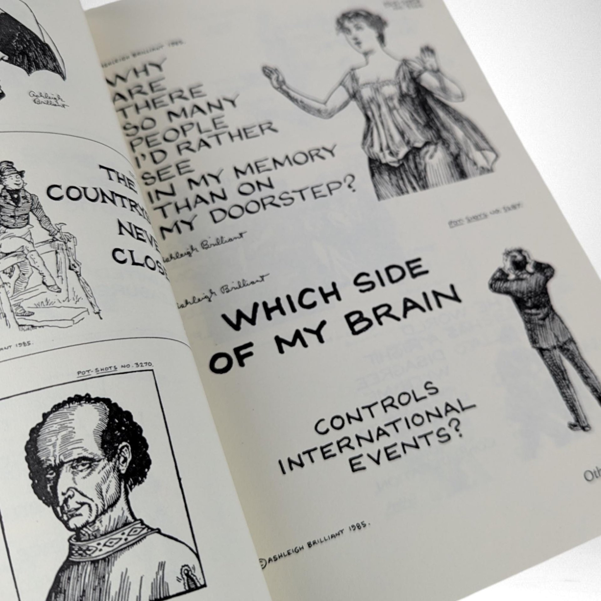 1990 All I Want Is a Warm Bed and a Kind Word, and Unlimited Power by Ashleigh Brilliant, Humor Book, Vintage Paperback