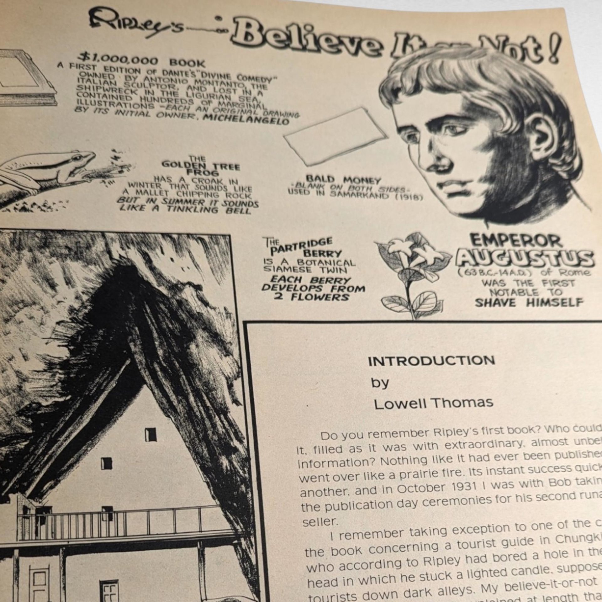 Vintage 1976 Ripley's Believe It Or Not! Giant Softcover Book | Illustrated | Oddities & Wonders |  Lowell Thomas Introduction