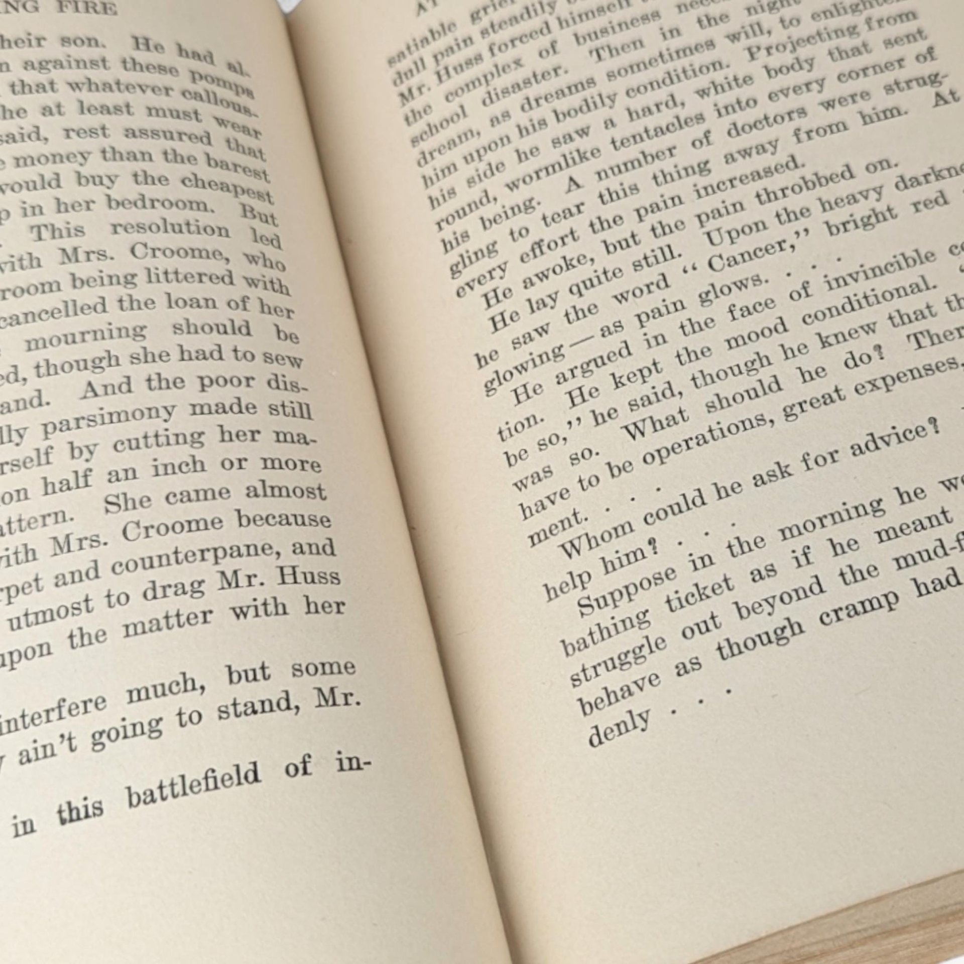 1919 H.G. Wells The Undying Fire, First Edition, Hardcover Book, Antique Book, Science Fiction, Social Commentary